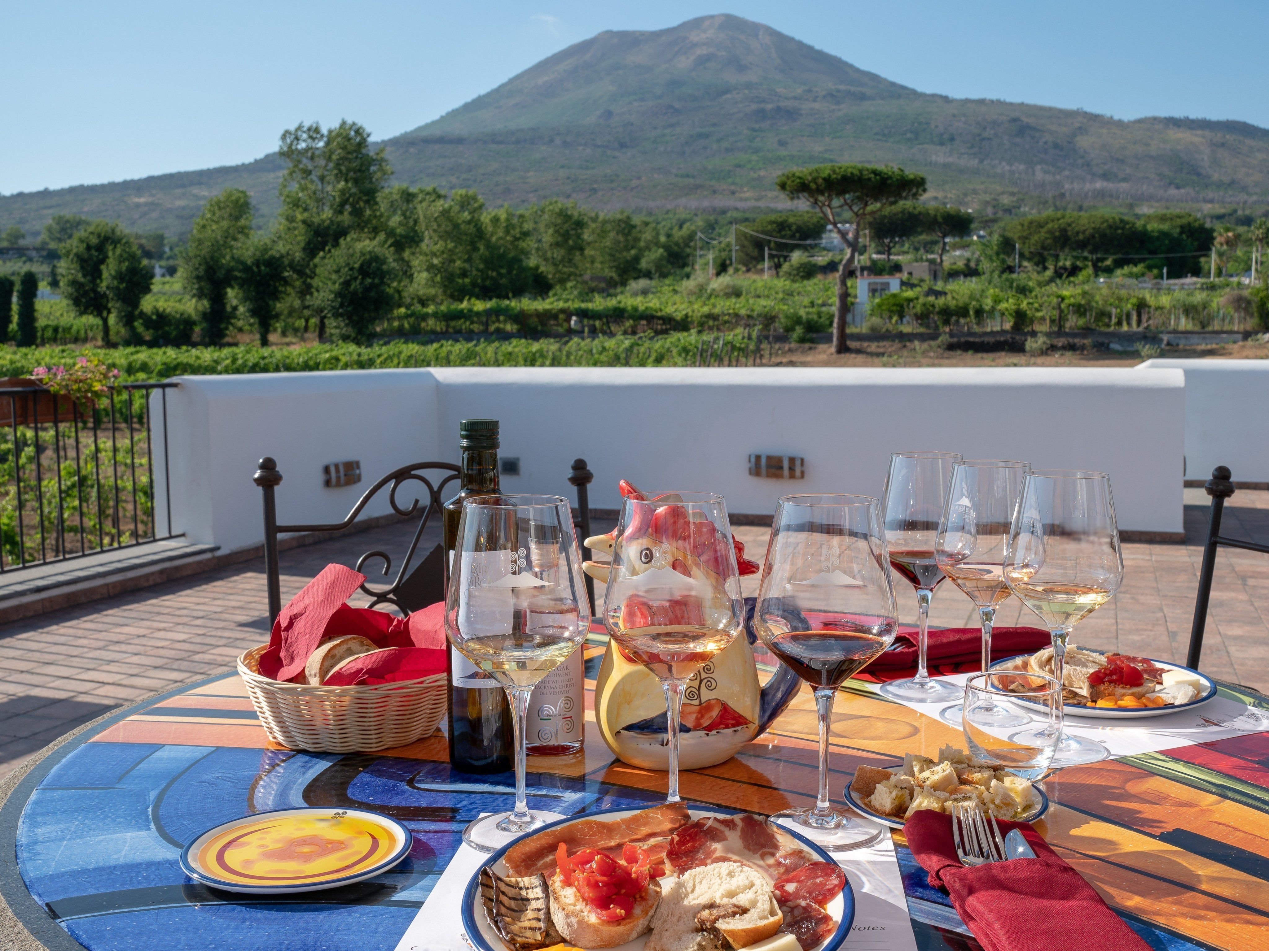Guided Tour of Vesuvius Wine Tasting with Meal Included
