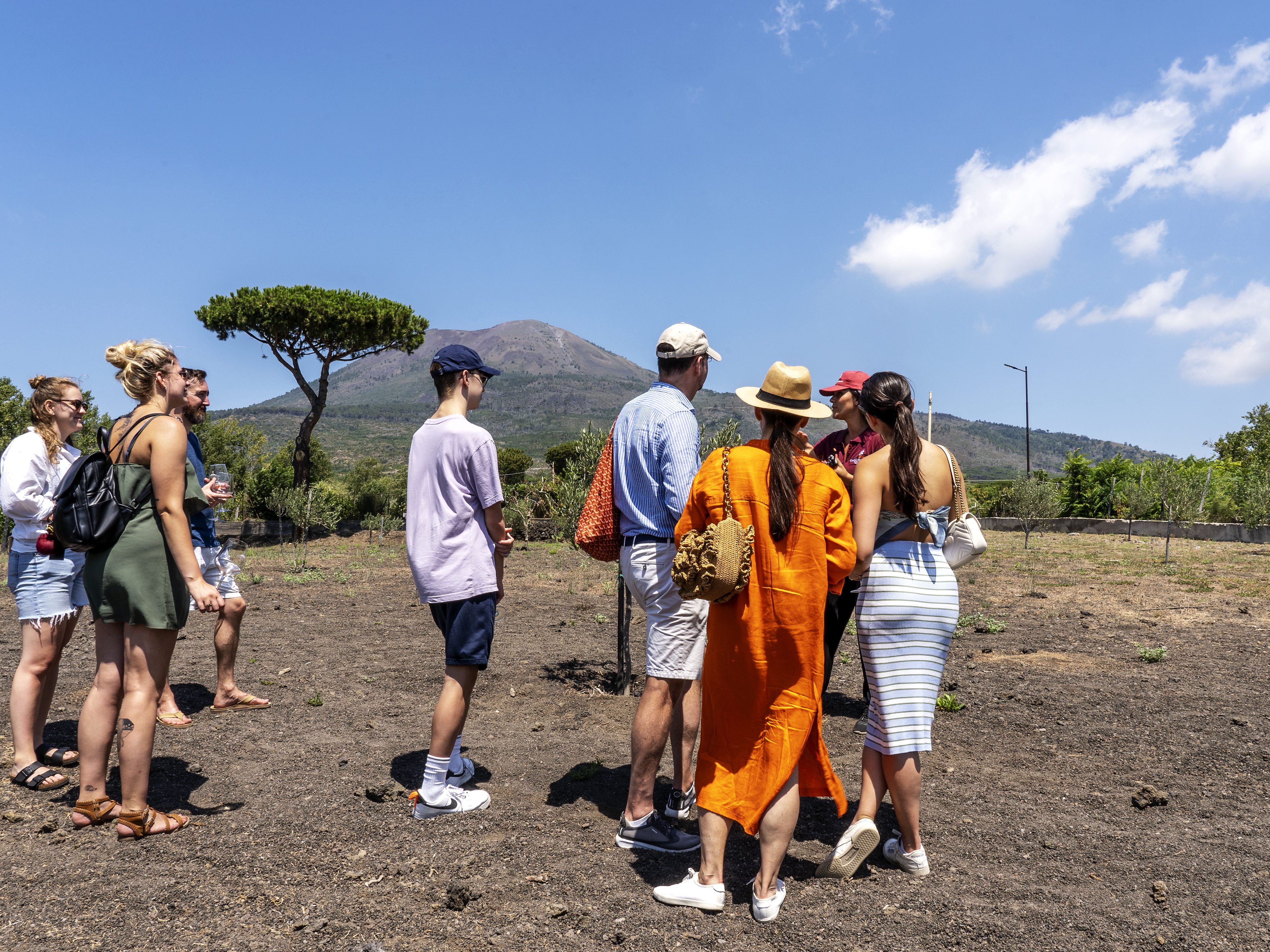 Guided Tour of Vesuvius Wine Tasting with Meal Included