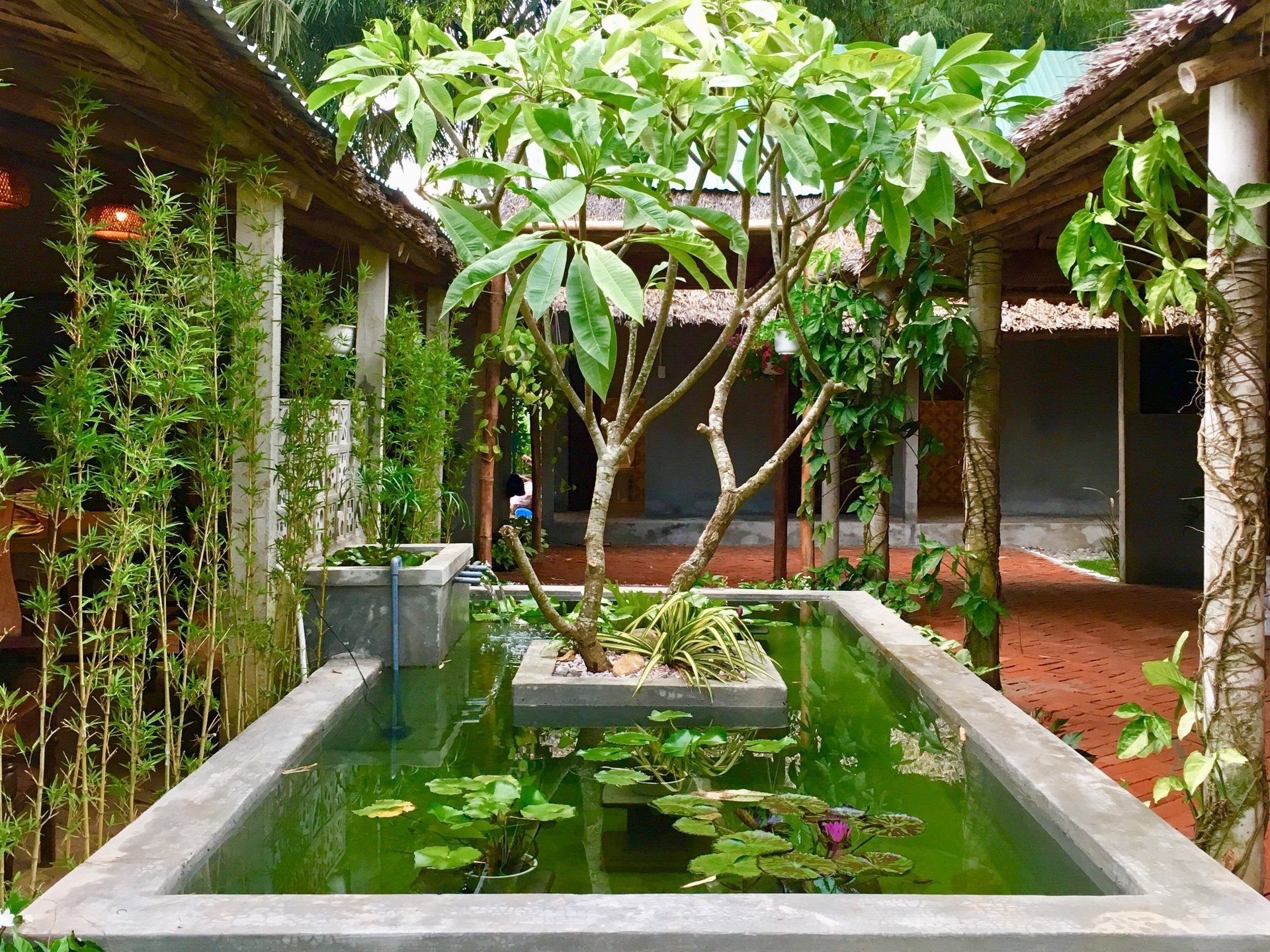 Thuan Tinh Island: Market, Boat Ride, and Vietnamese Cooking Class