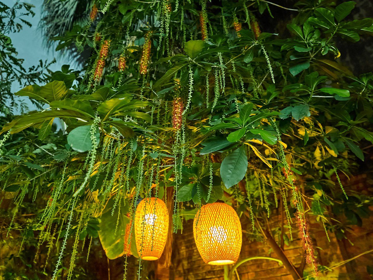 Cultural Food Journey in Tranquil Garden Villa with Market Tour