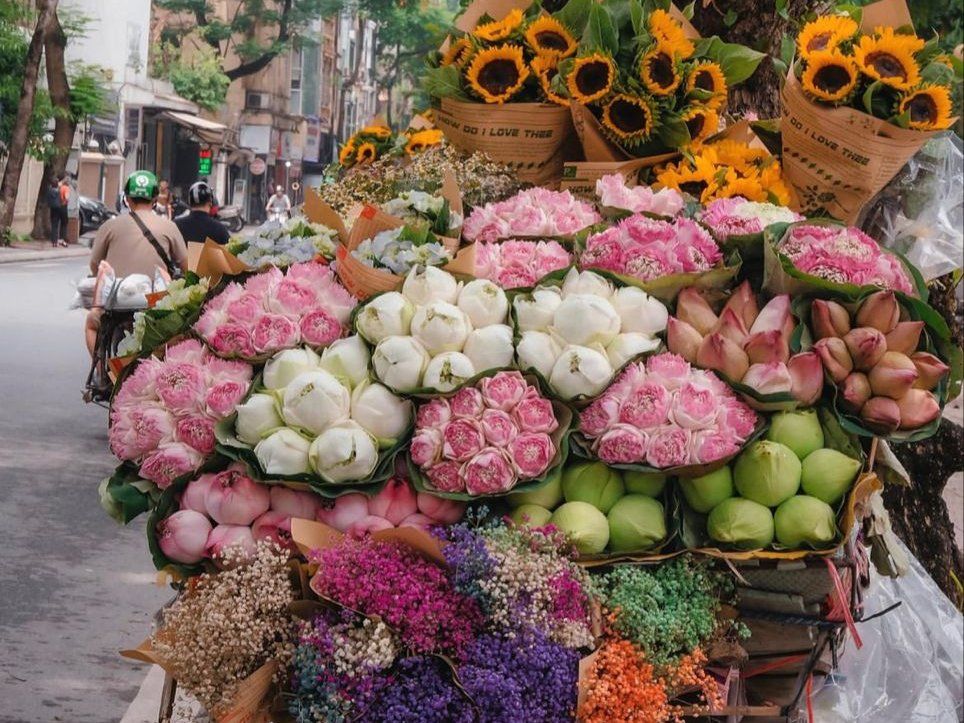 Cultural Food Journey in Tranquil Garden Villa with Market Tour