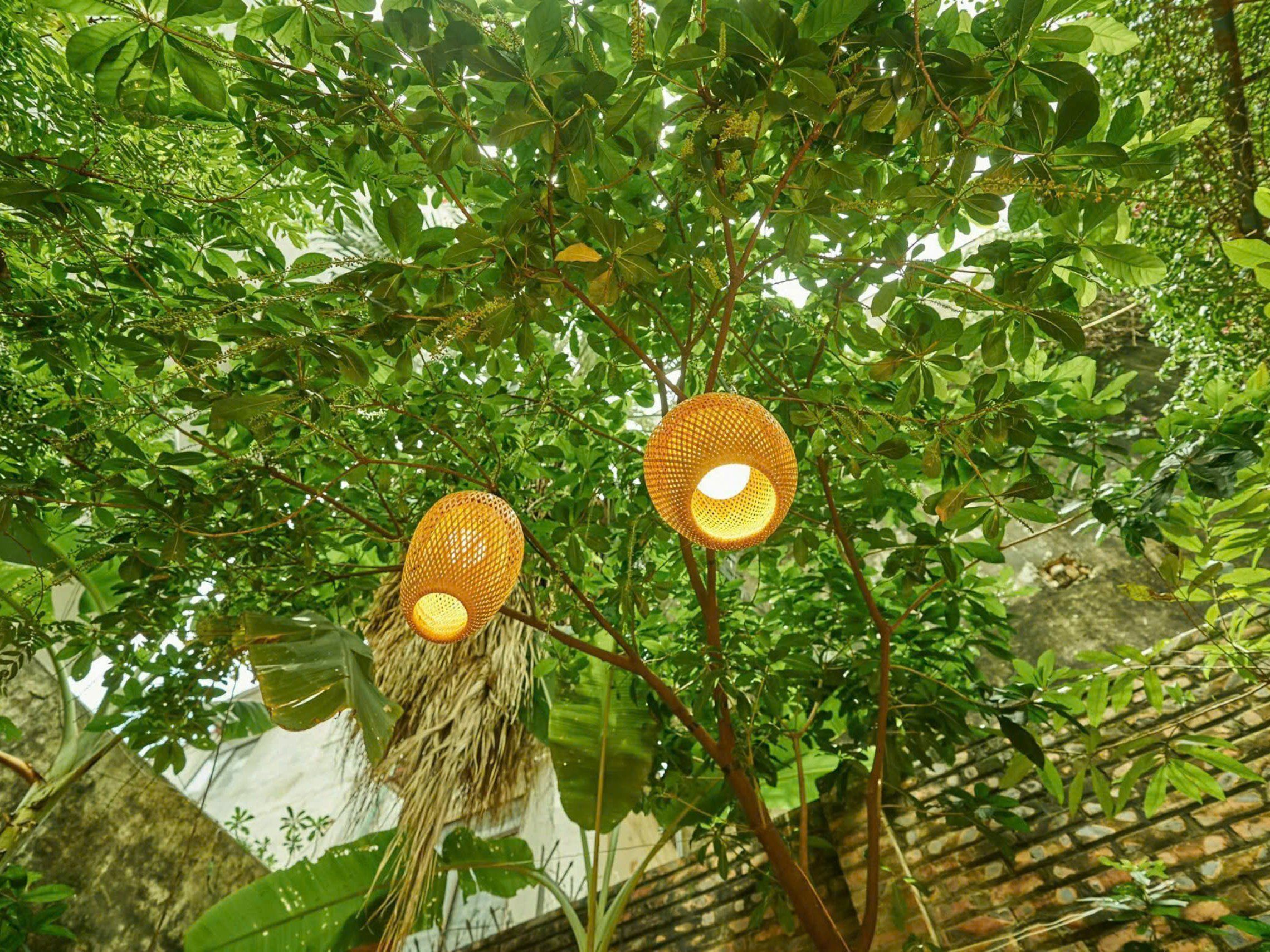 Cultural Food Journey in Tranquil Garden Villa with Market Tour