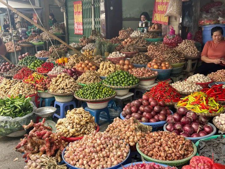 Cultural Food Journey in Tranquil Garden Villa with Market Tour
