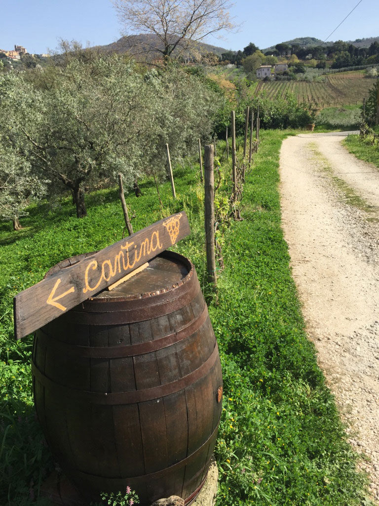 Pizza Making Class with Winery Tour & Tasting: Roman Adventure