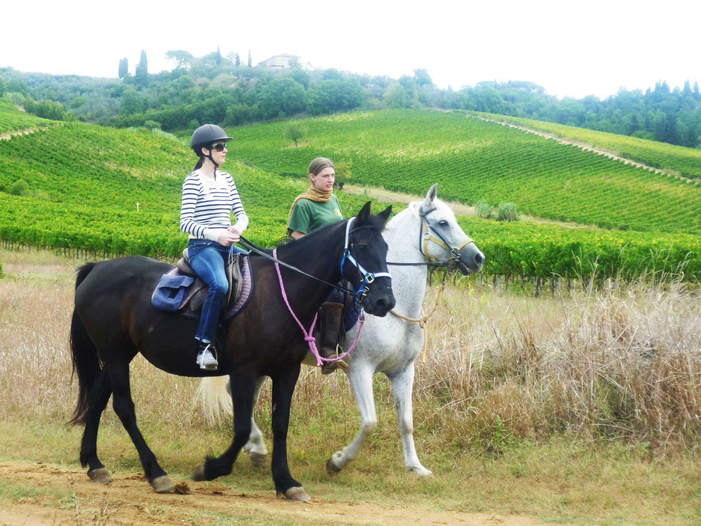 horse riding winery tour