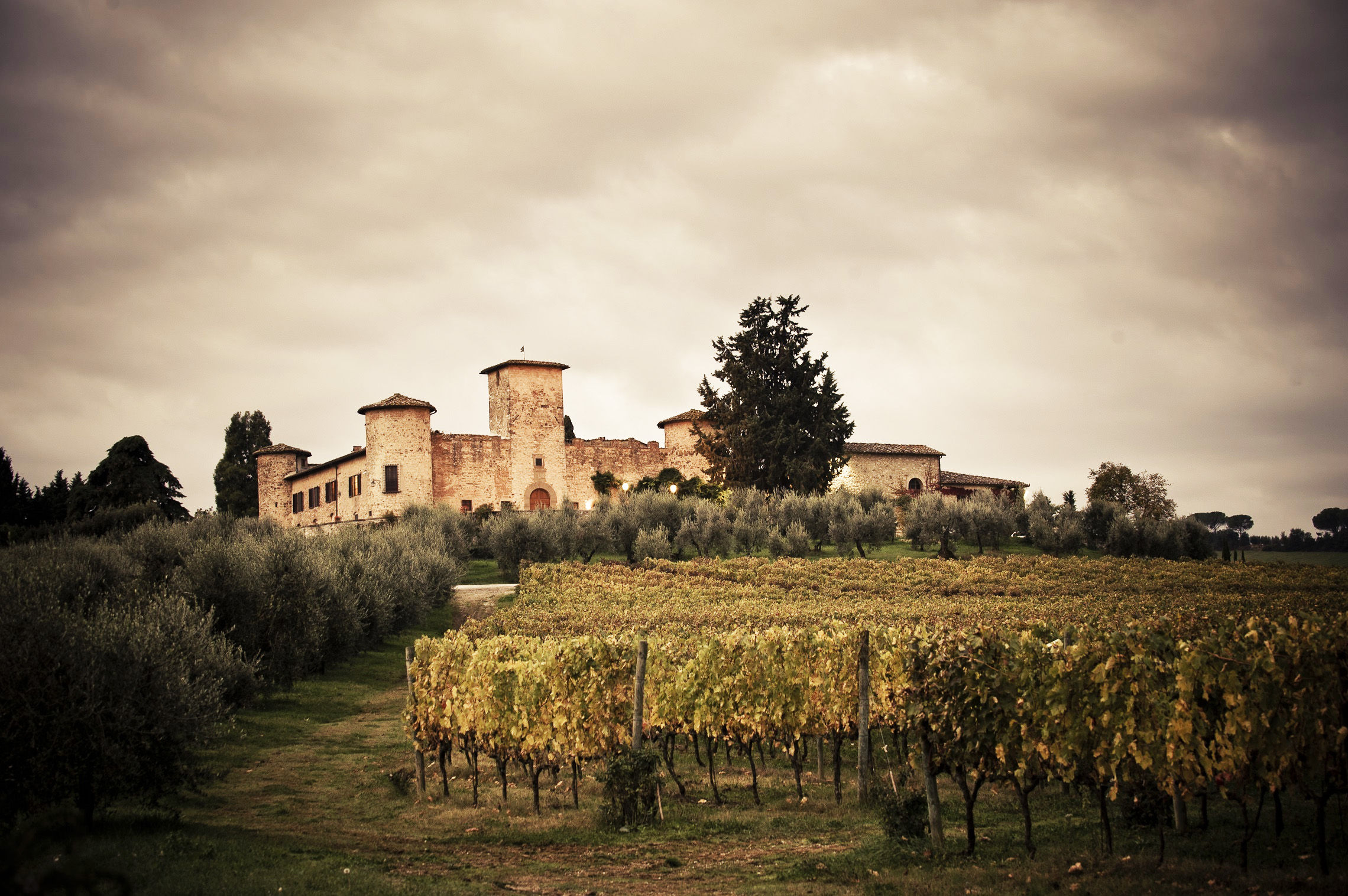 super tuscan wine tour from florence