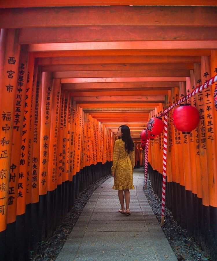 Japan Wonder Travel: Walking Food Tour in Kyoto Nishiki Market ...