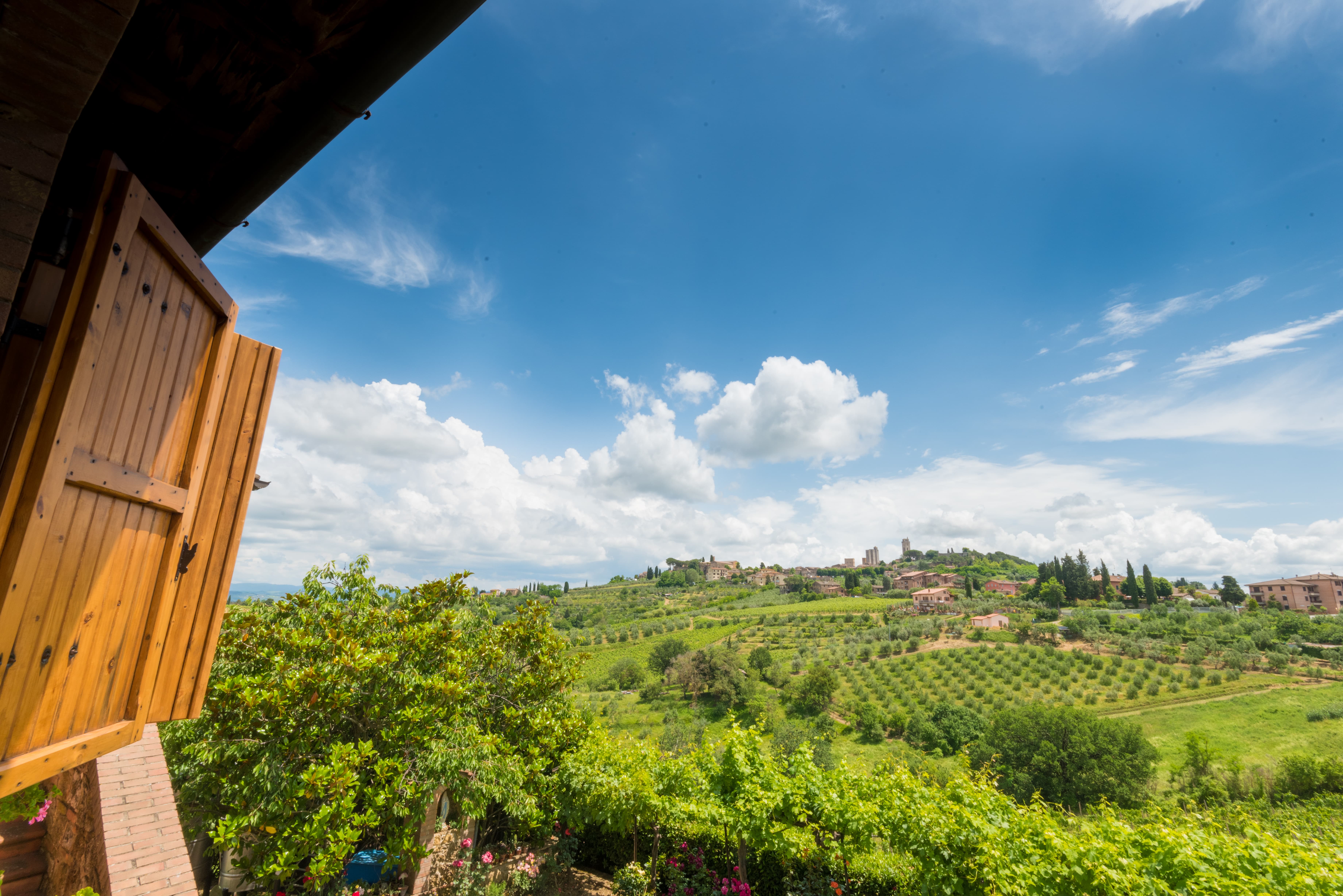 Wine, Virgin Olive Oil, and Cheese Tasting in San Gimignano