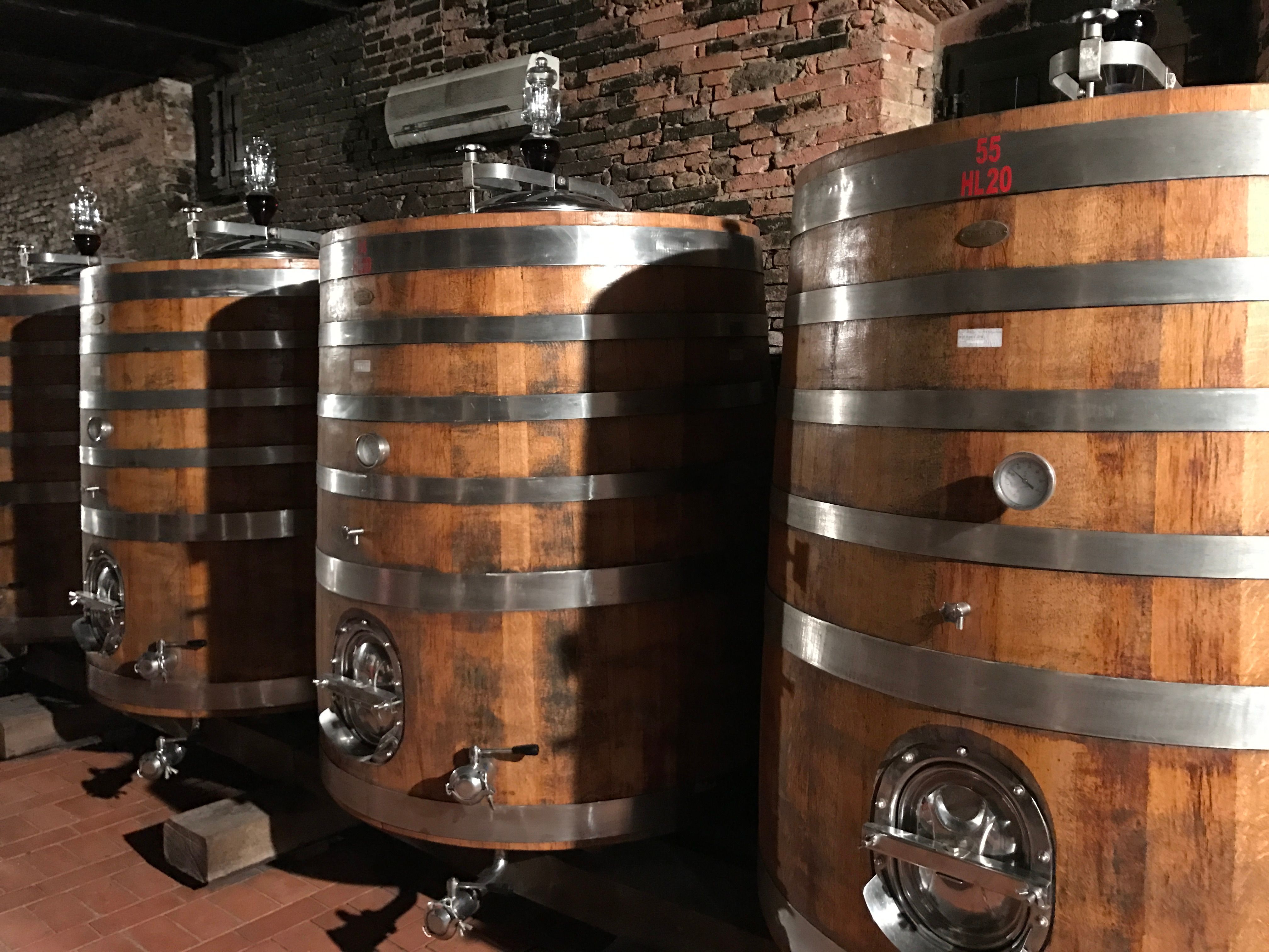 Wine Tasting San Casciano dei Bagni in Val d'Orcia with Local Food specialities