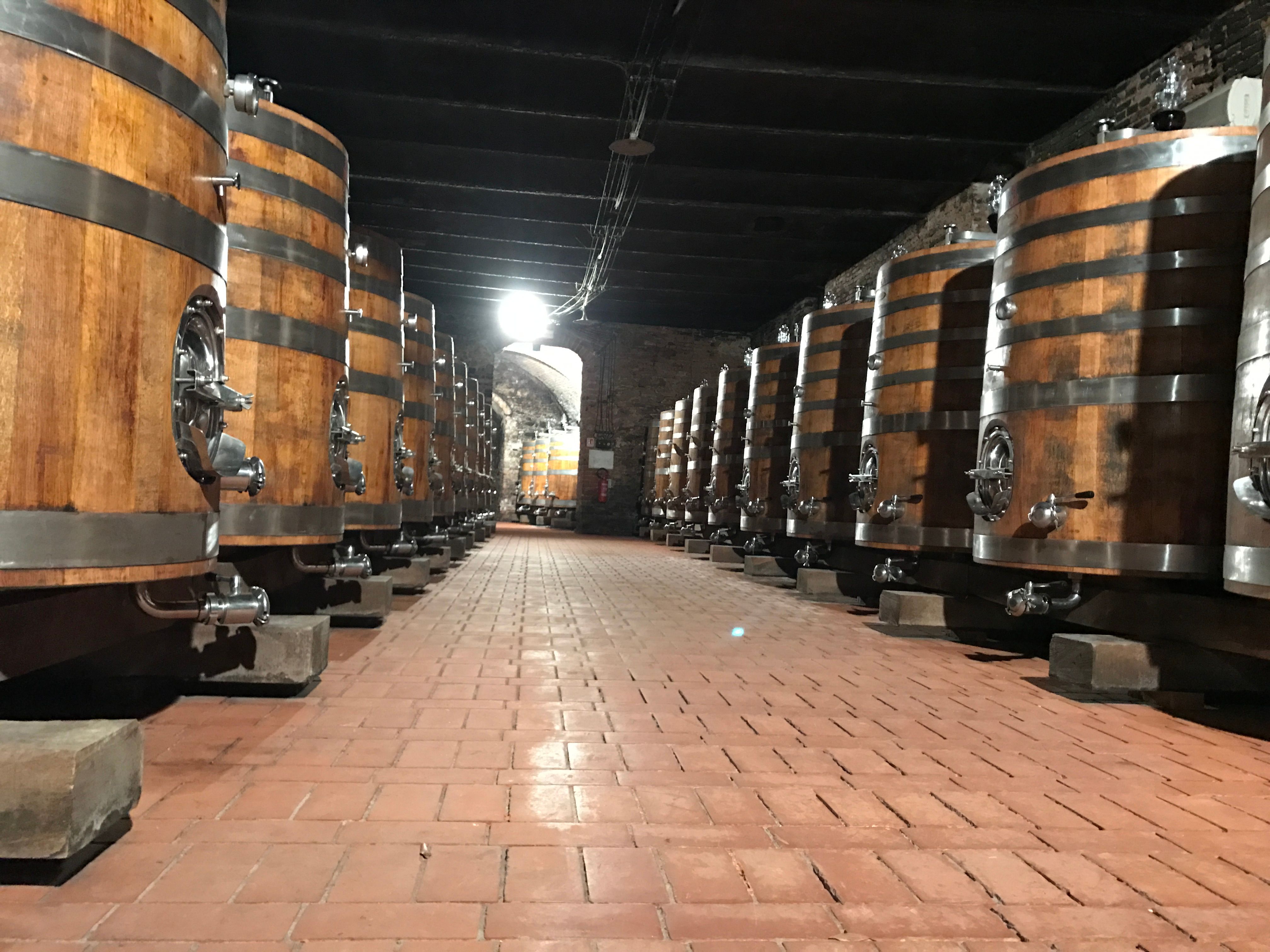 Wine Tasting San Casciano dei Bagni in Val d'Orcia with Local Food specialities