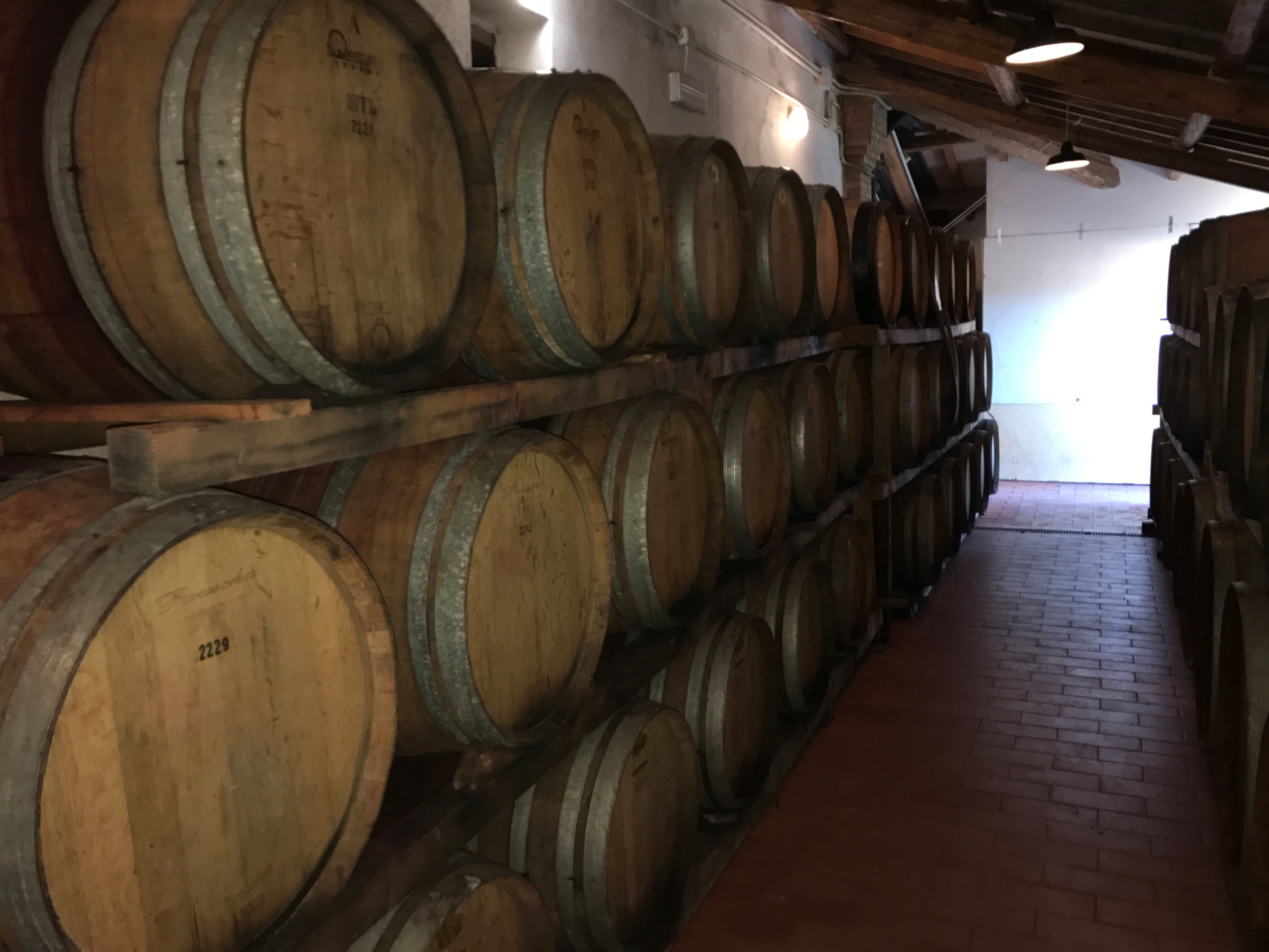 Wine Tasting San Casciano dei Bagni in Val d'Orcia with Local Food specialities