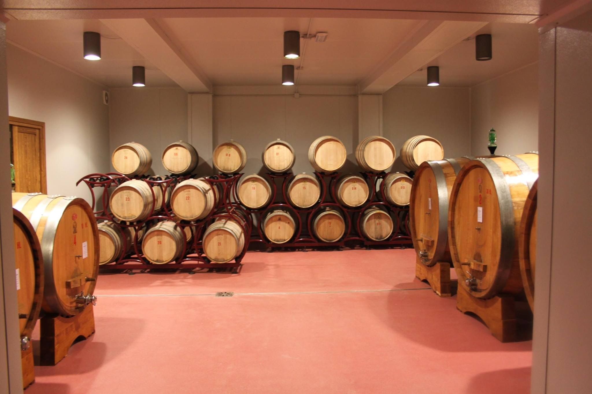 Wine Yard Tour and Premium Wine Tasting at Sesta di Sopra in Montalcino