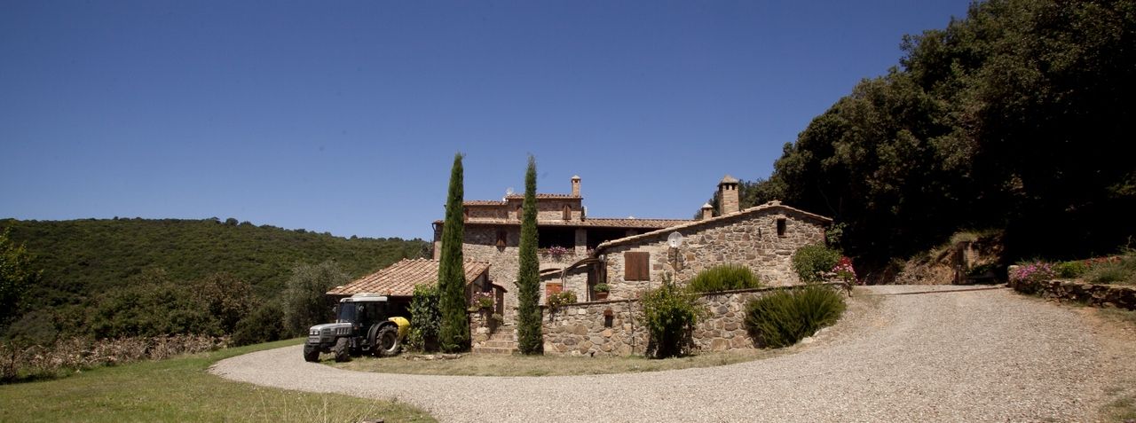 Wine Yard Tour and Premium Wine Tasting at Sesta di Sopra in Montalcino