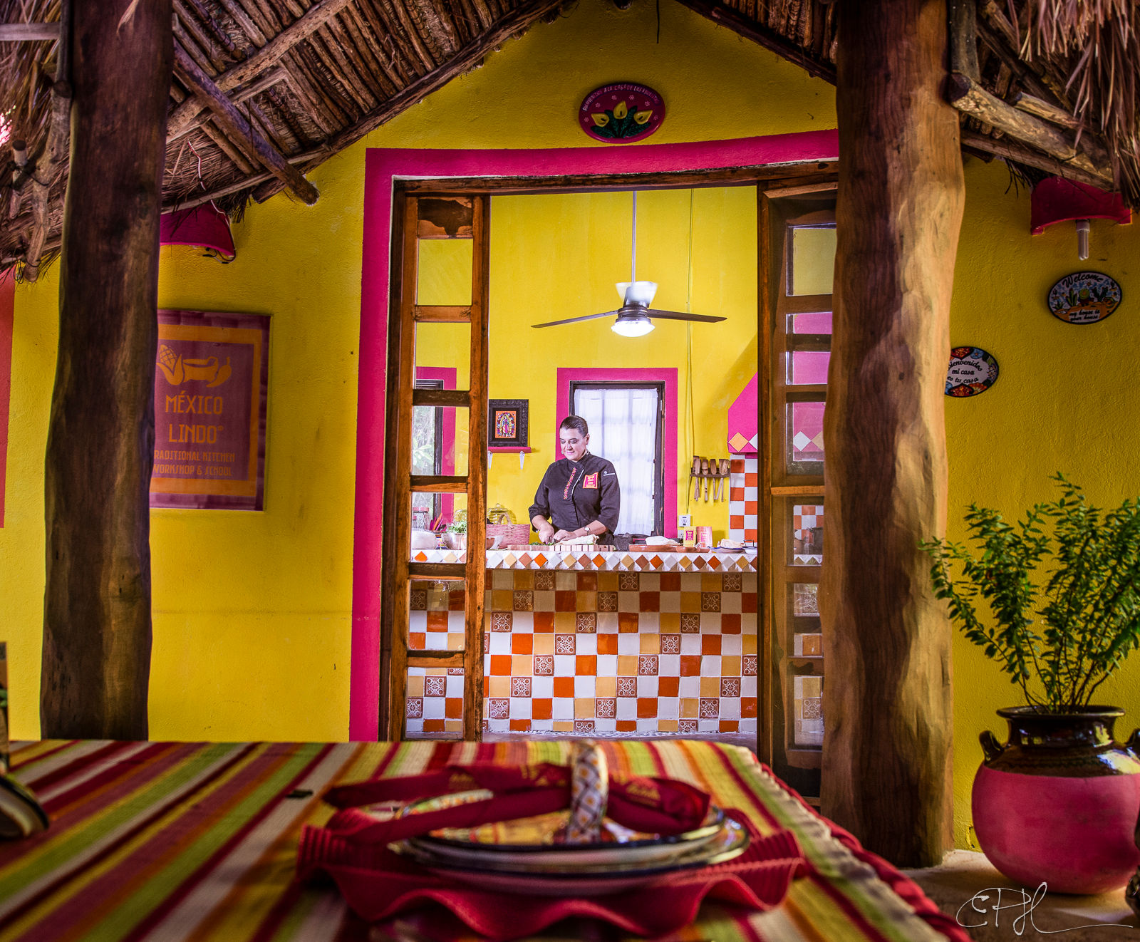 Yucatan Delights in Puerto Morelos