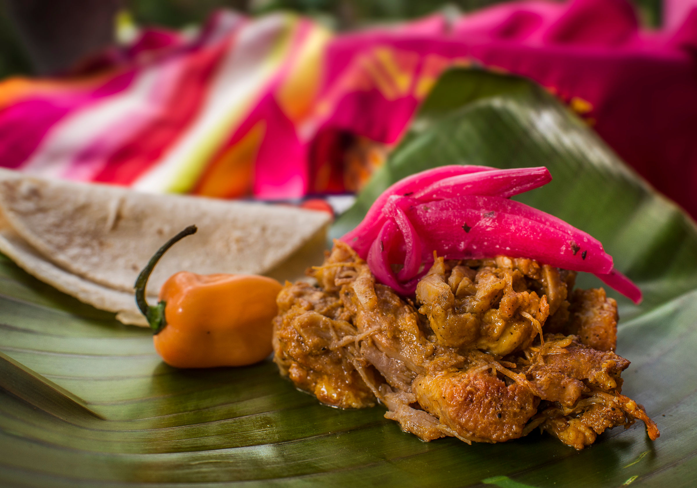 Yucatan Delights in Puerto Morelos