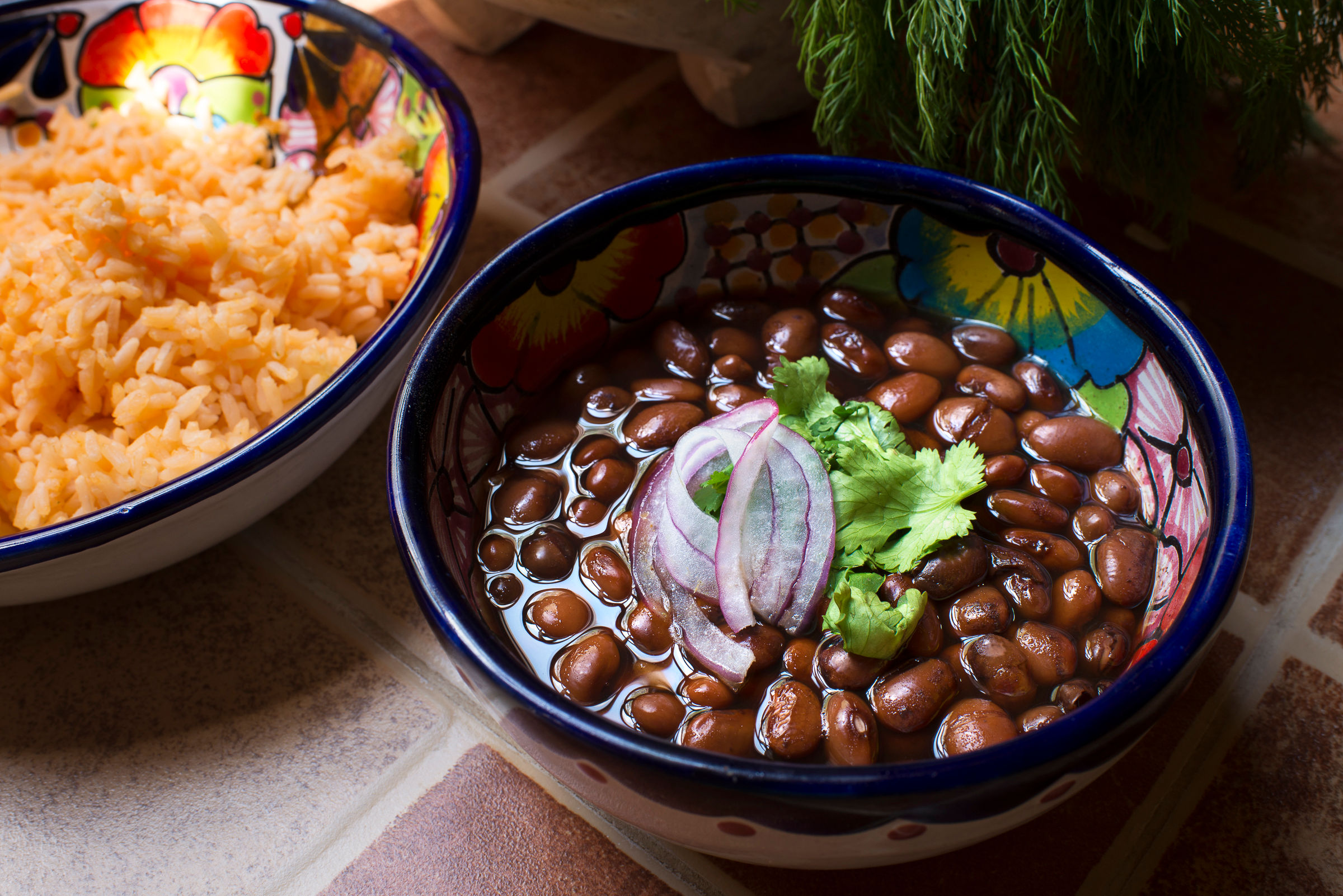 Yucatan Delights in Puerto Morelos