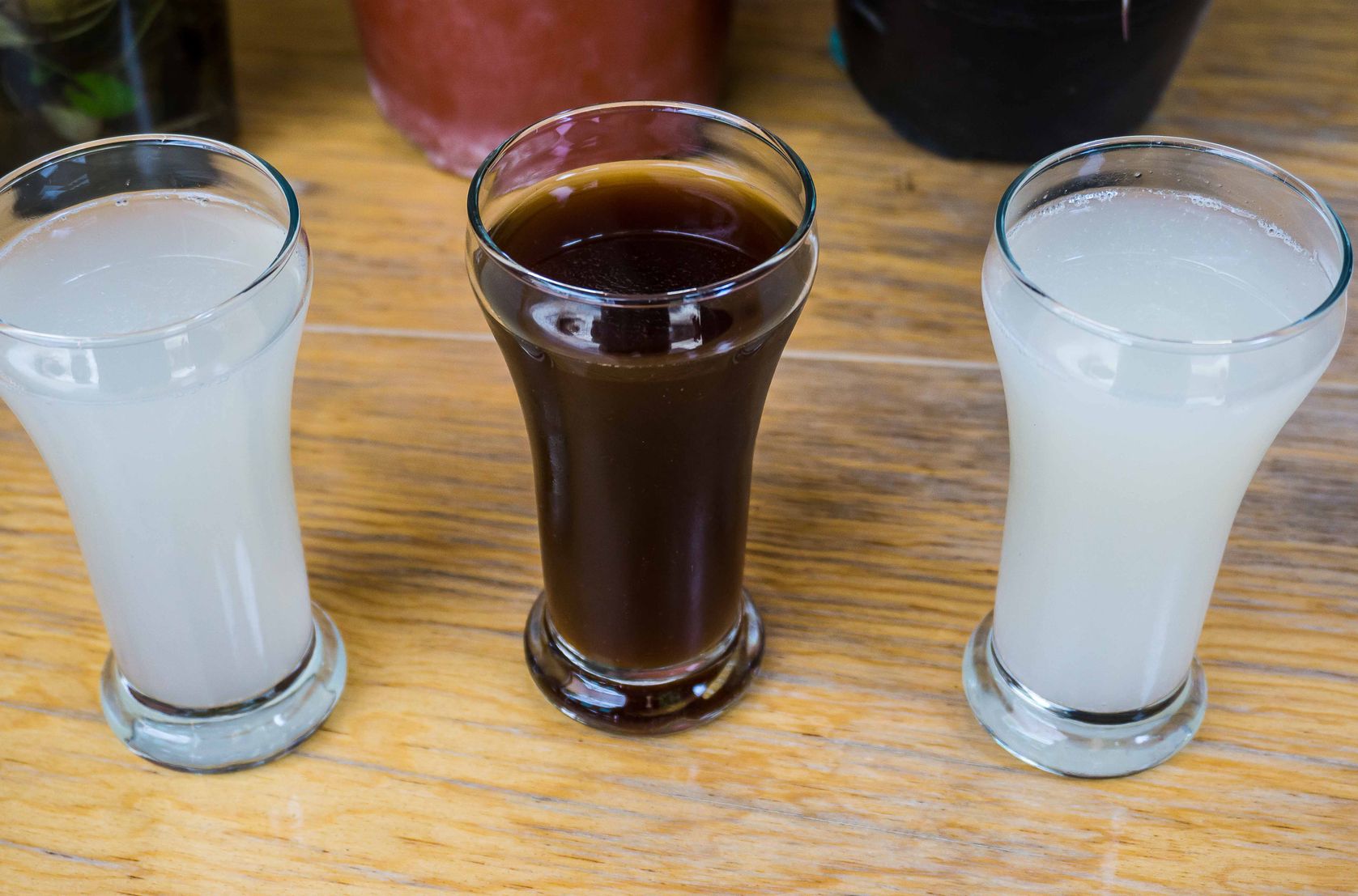 Nectar of the Gods: Maguey & Pulque Session in Oaxaca