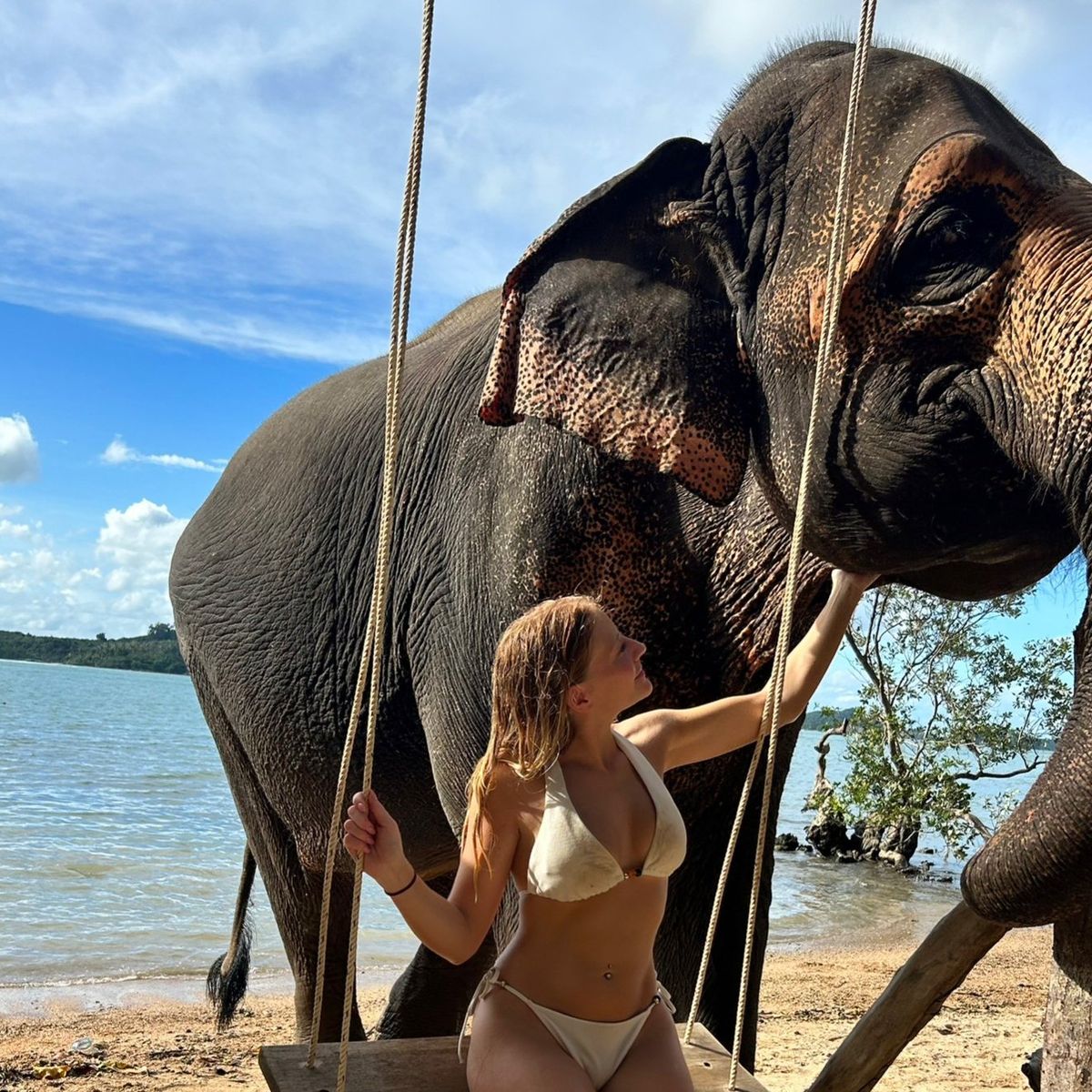 Elephant care camp at siray phuket