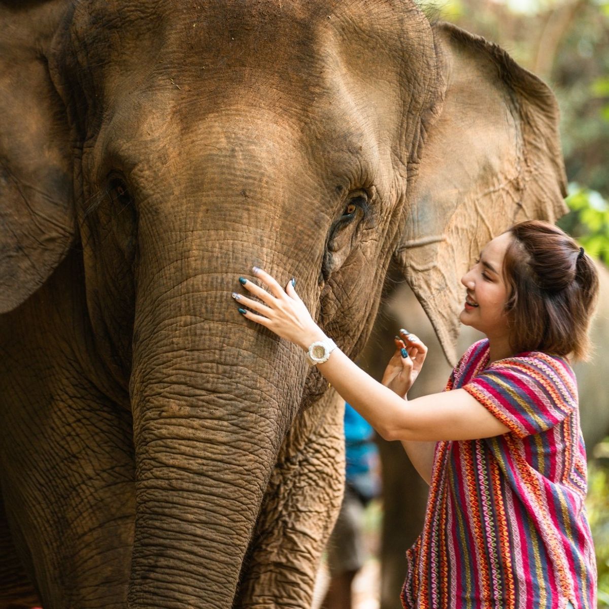 Elephant Care Camp and Cooking Class in Si-Ray Phuket