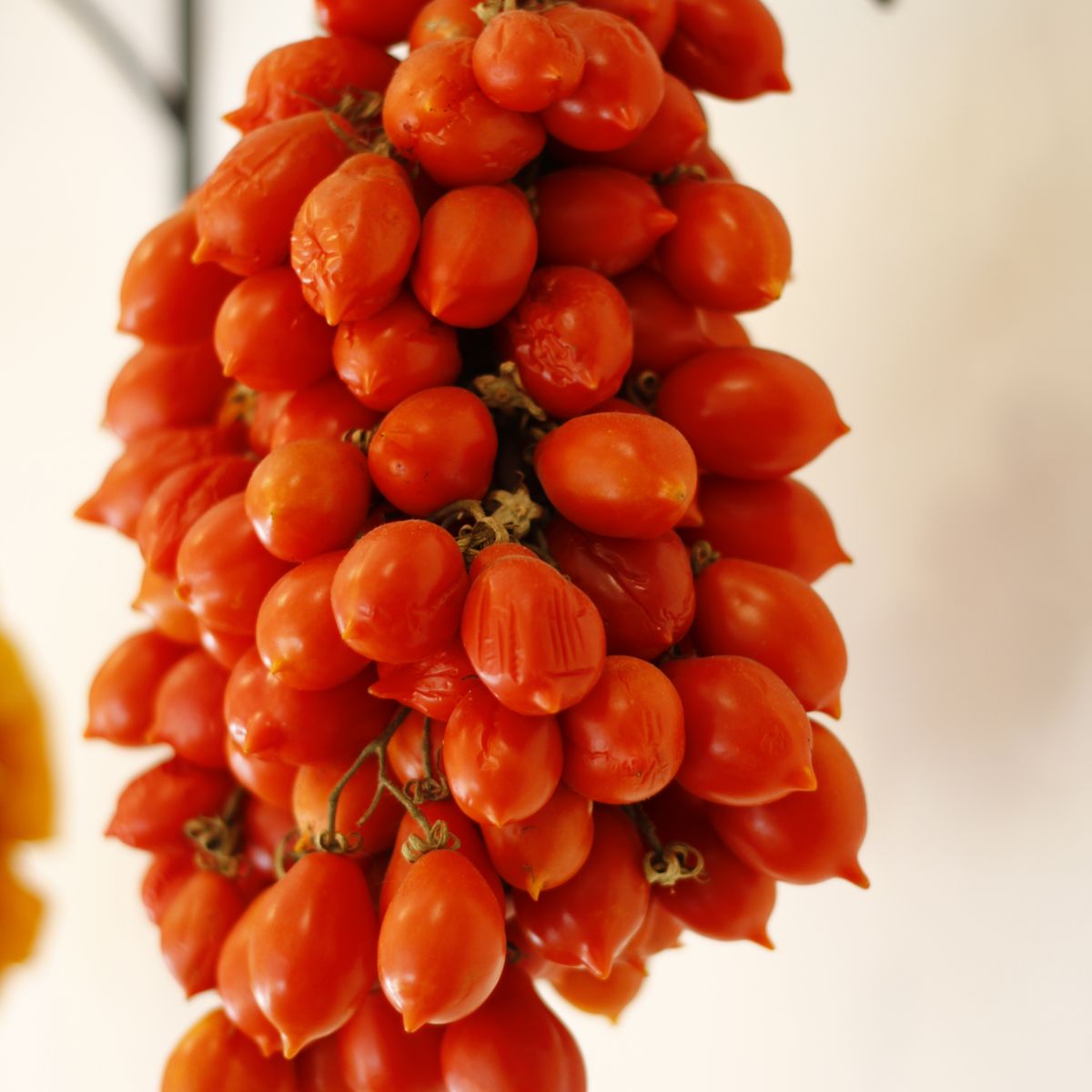 3-Course Cooking Class in the Heart of Sorrento (Meat)