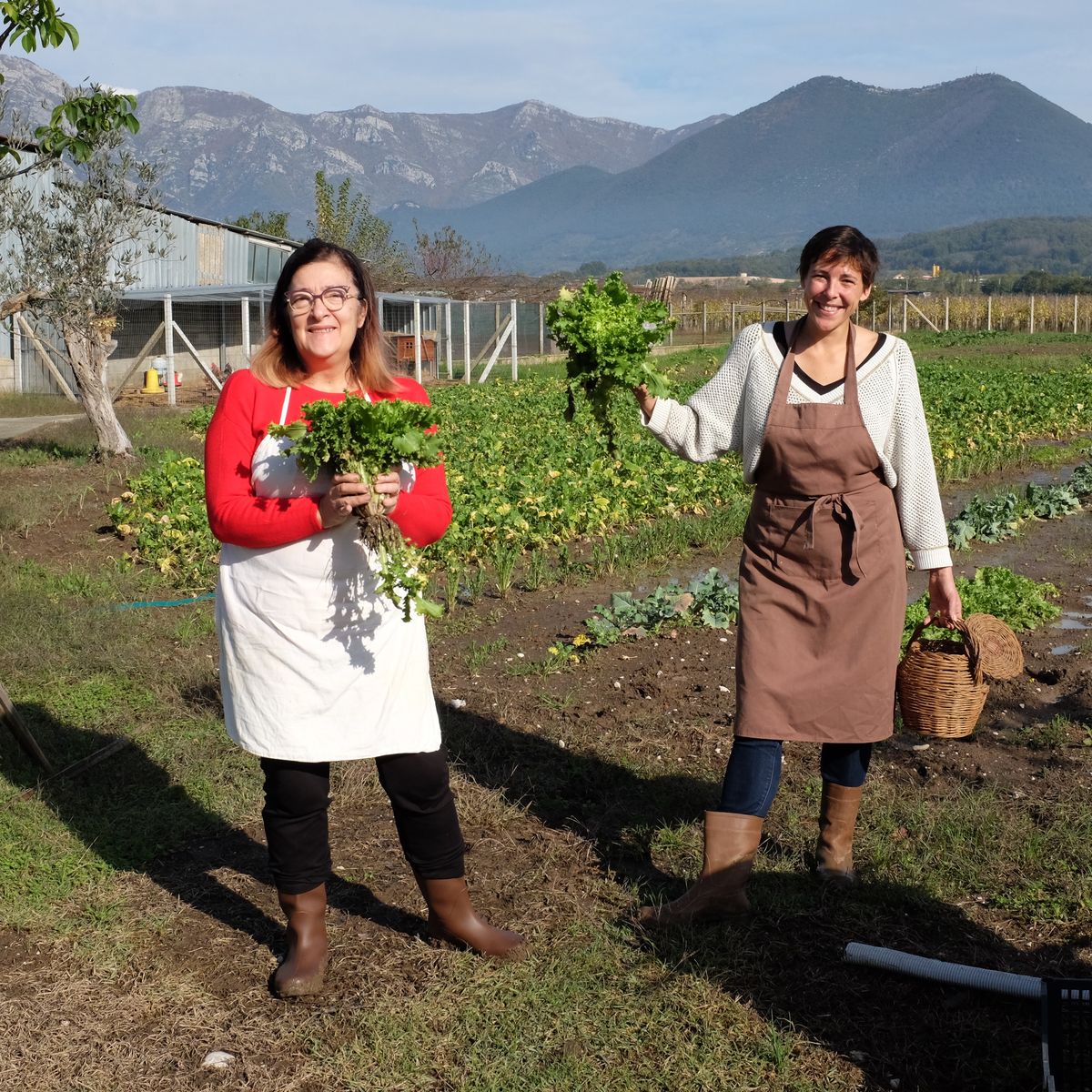 Private Cooking at the Farmhouse: Traditional Neapolitan Menu in Benevento