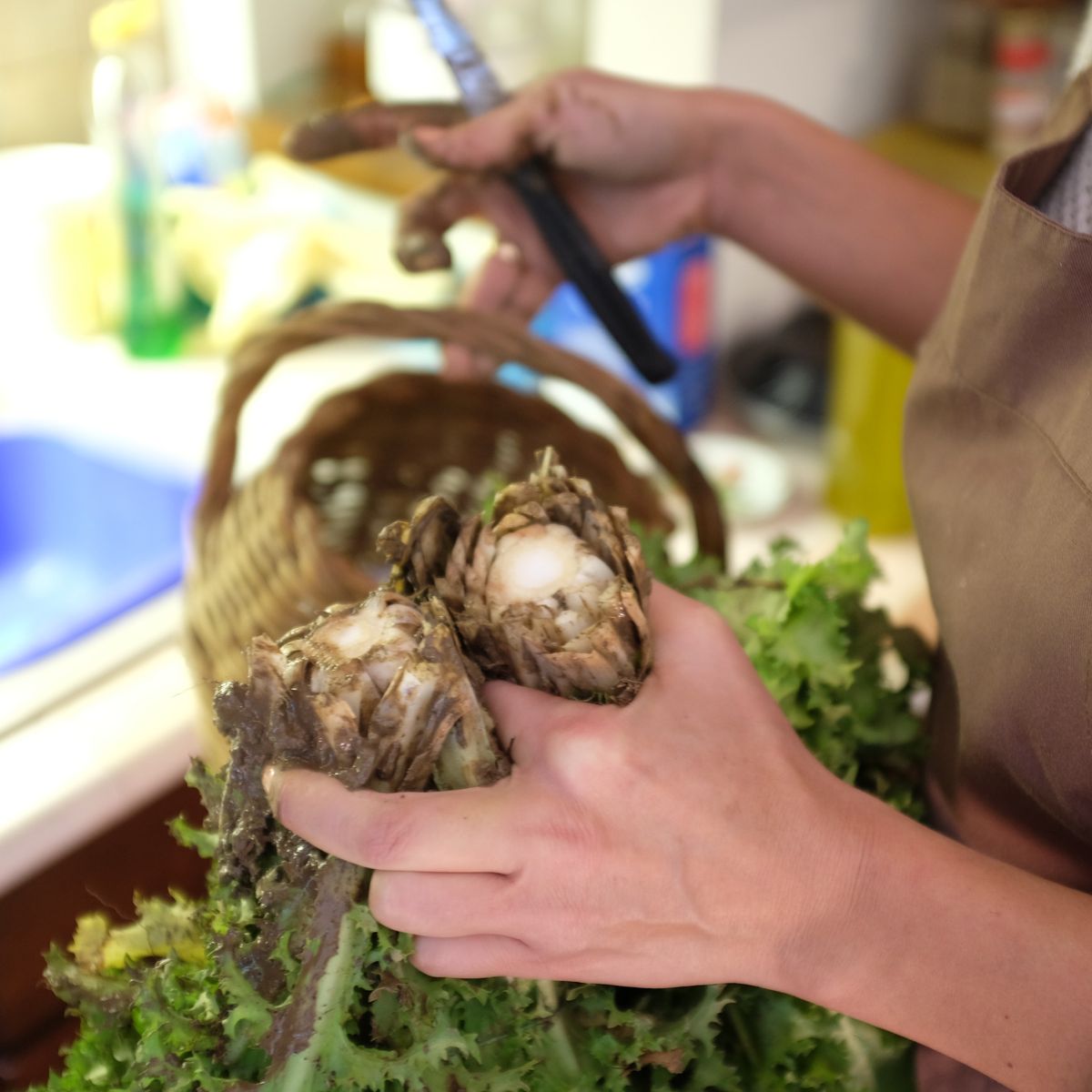 Private Cooking at the Farmhouse: Traditional Neapolitan Menu in Benevento
