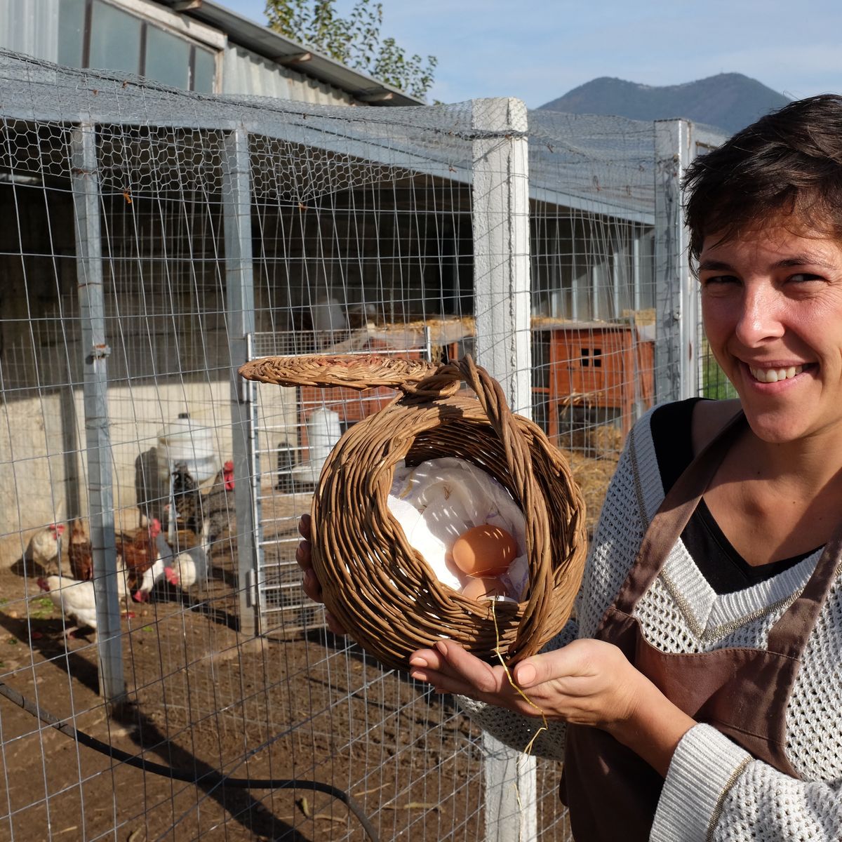 Private Cooking at the Farmhouse: Traditional Neapolitan Menu in Benevento