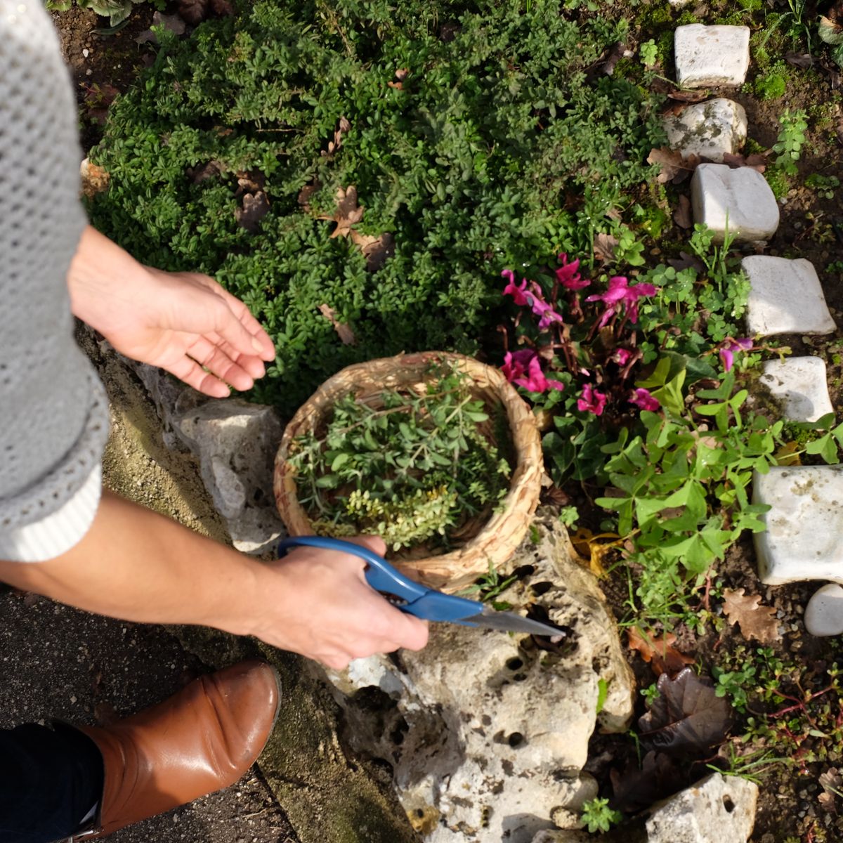 Private Cooking at the Farmhouse: Traditional Neapolitan Menu in Benevento