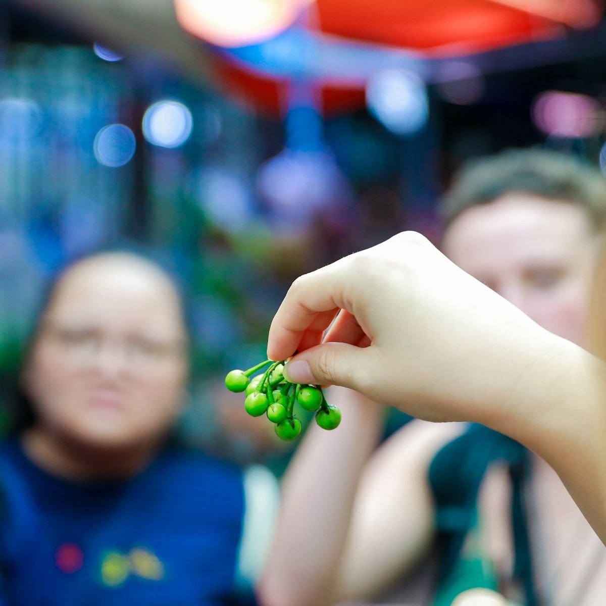 4-Dish Cooking Class Bangkok & Morning Market Tour
