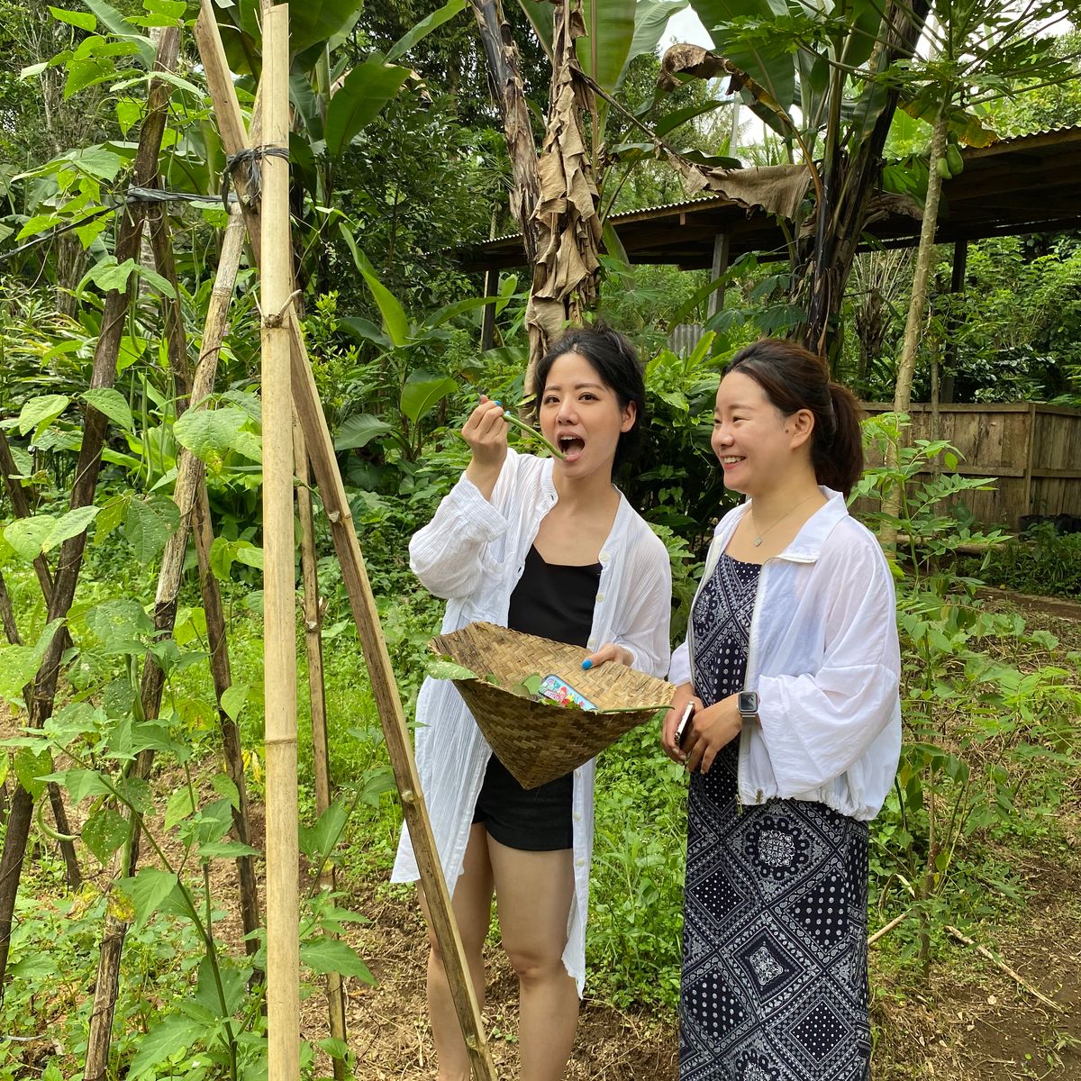 Vegan 7-Dish Cooking Class in Lush Organic Farm