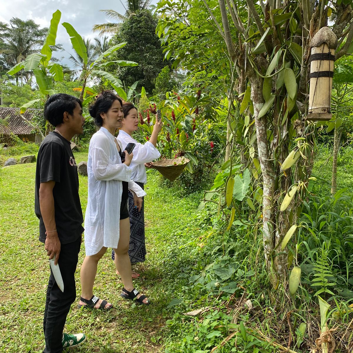 Vegan 7-Dish Cooking Class in Lush Organic Farm