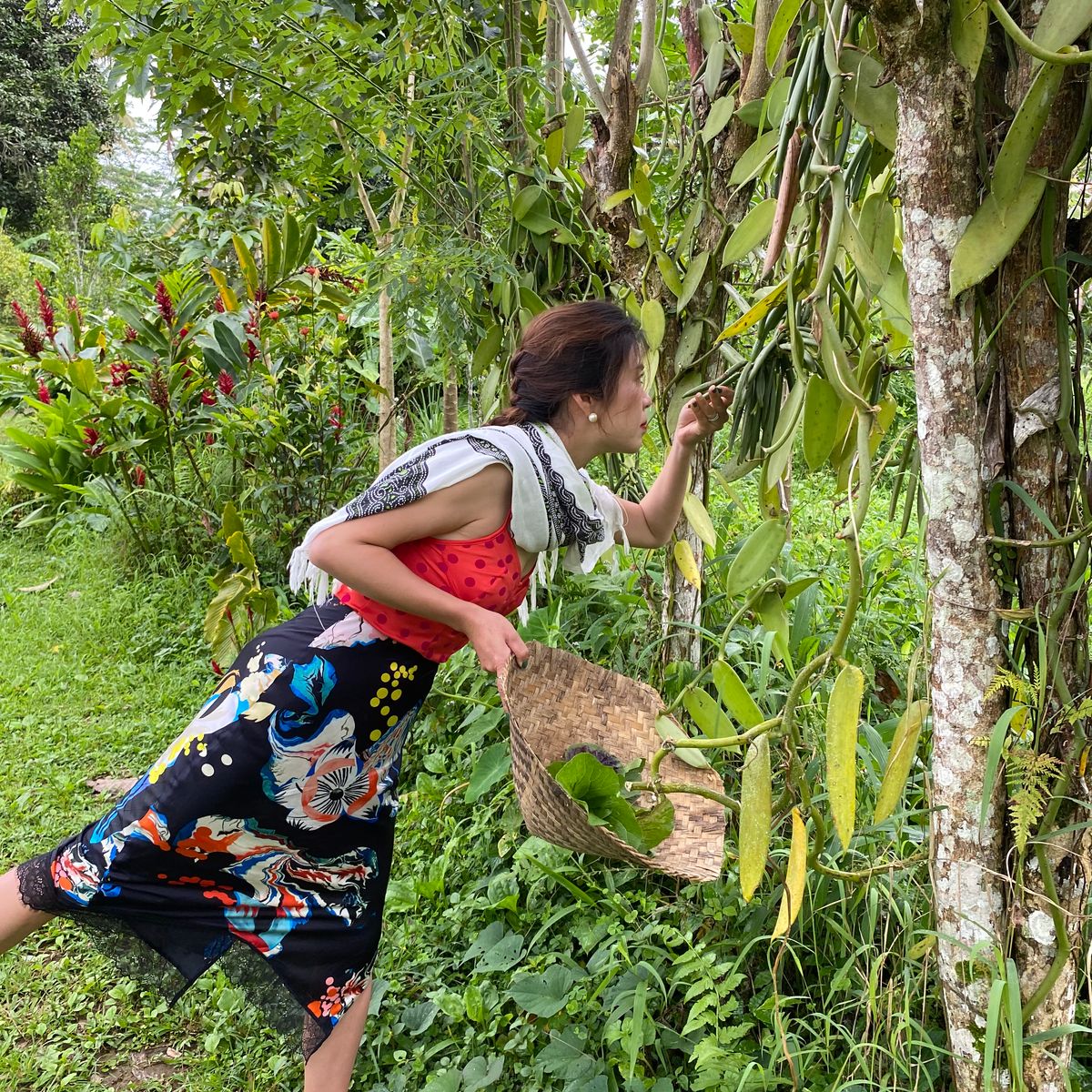 Vegan 7-Dish Cooking Class in Lush Organic Farm