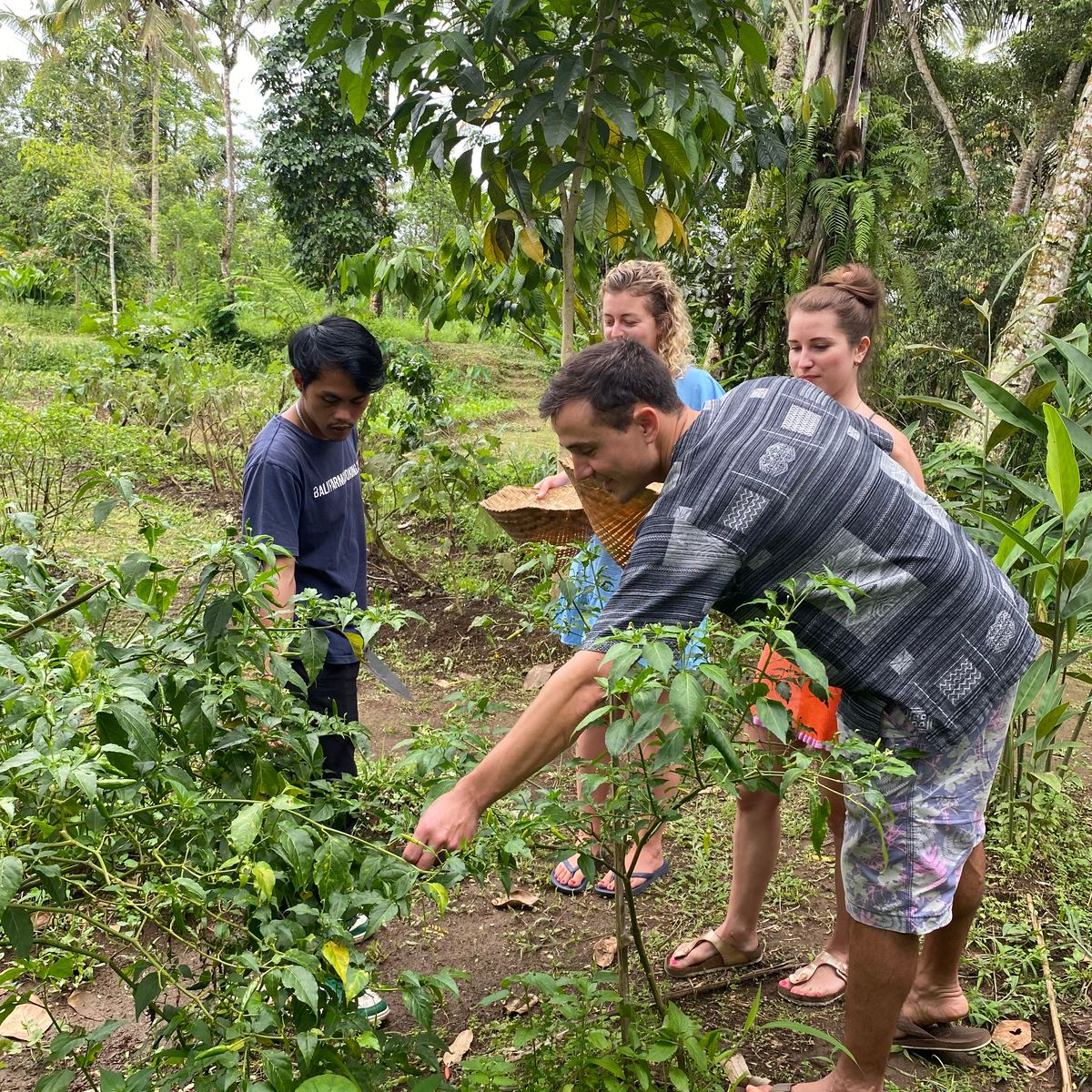 Vegan 7-Dish Cooking Class in Lush Organic Farm