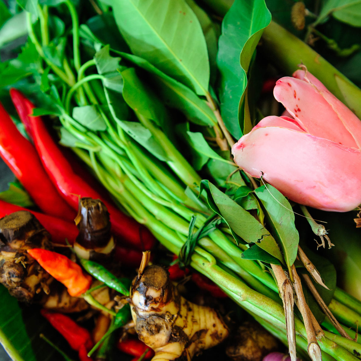 Casa Luna Traditional Balinese Cooking Class