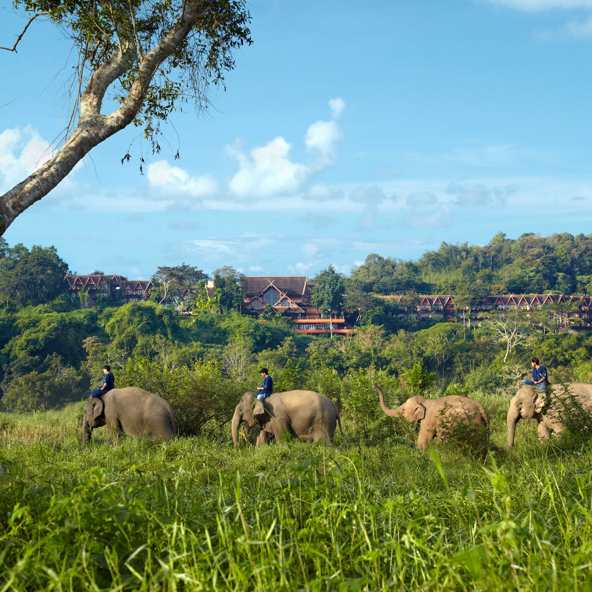 Spice Spoons |  A Thai Culinary Journey in Chiang Rai
