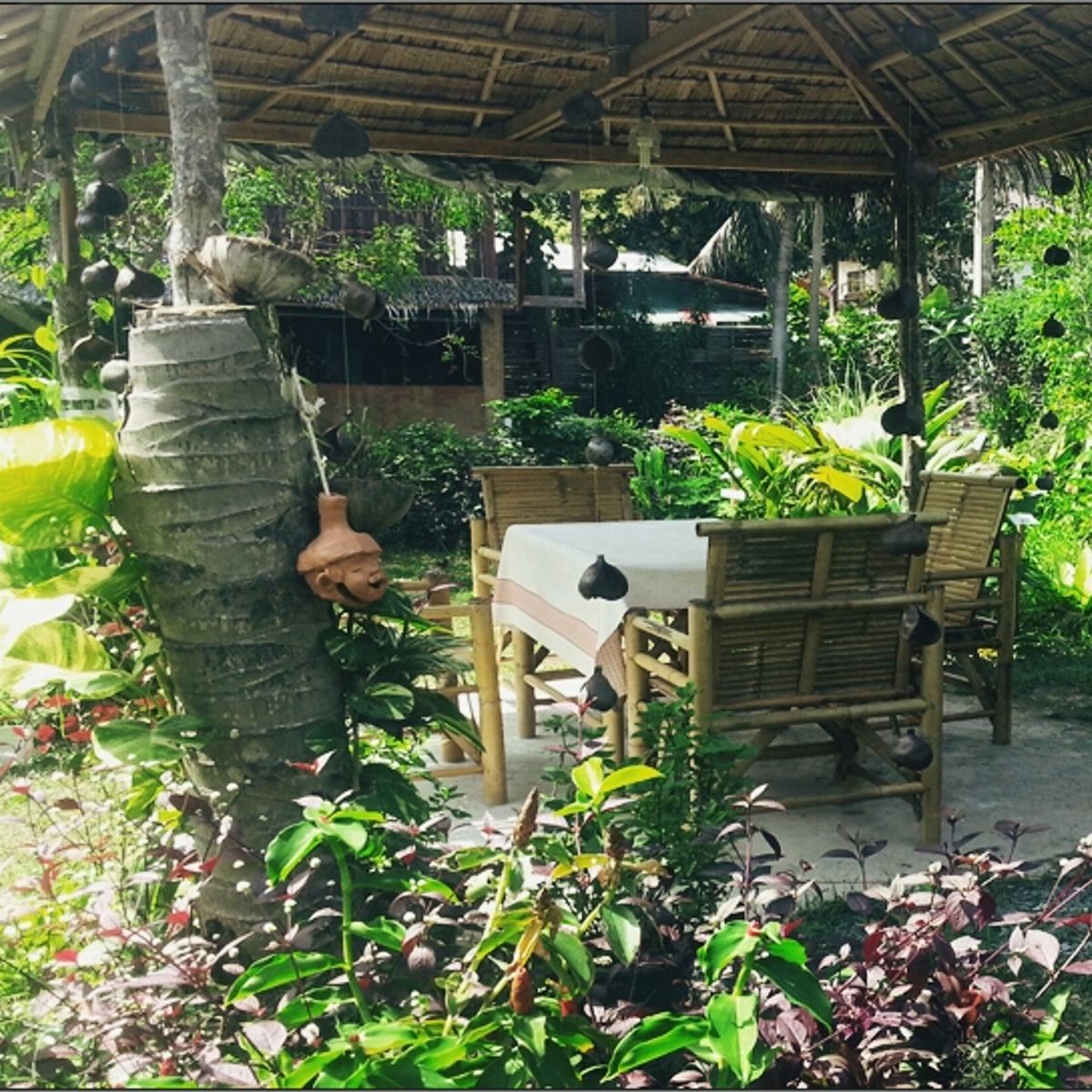 Thai Cooking Class with Organic Herb Garden Tour or Market Tour