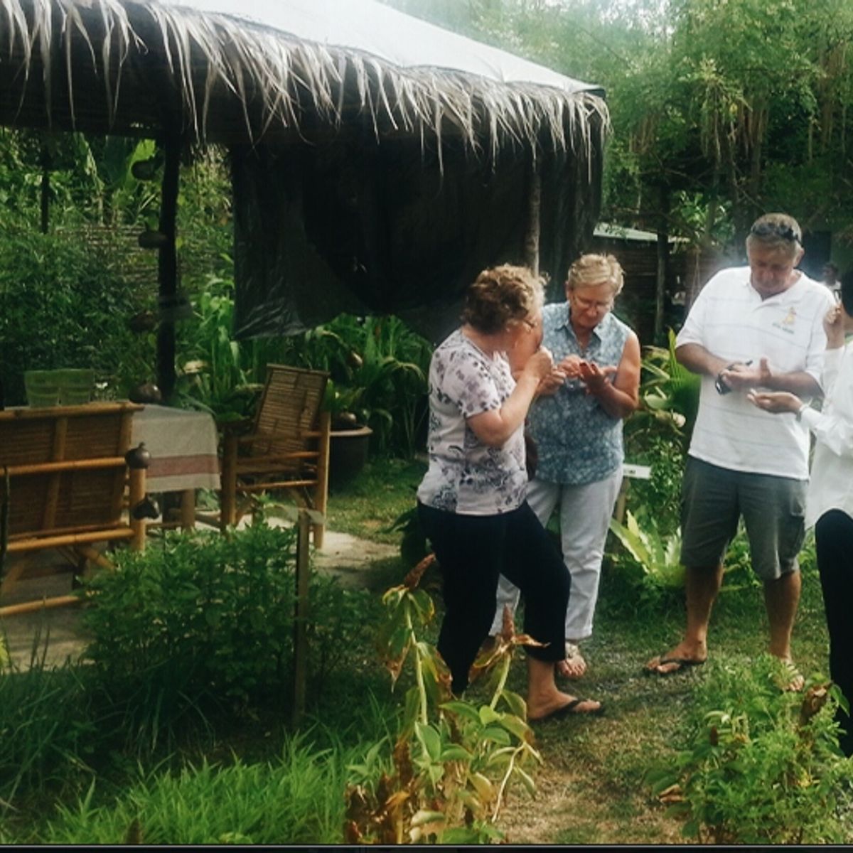 Thai Cooking Class with Organic Herb Garden Tour or Market Tour