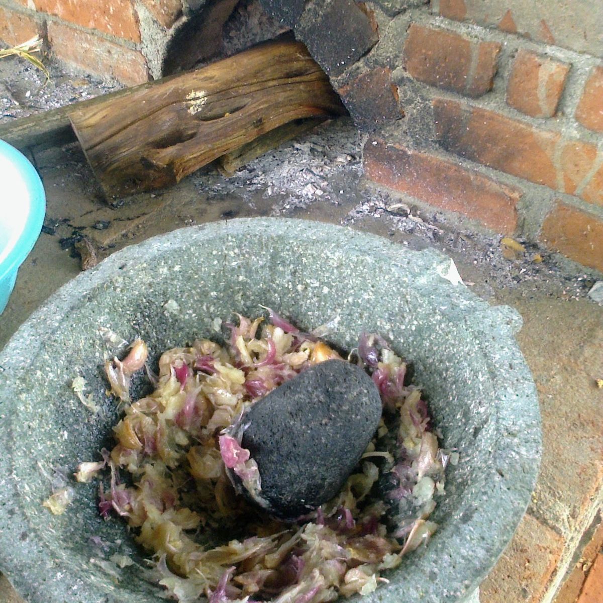 A Day of Oaxacan Plant Food Traditions with a Renowned Chef