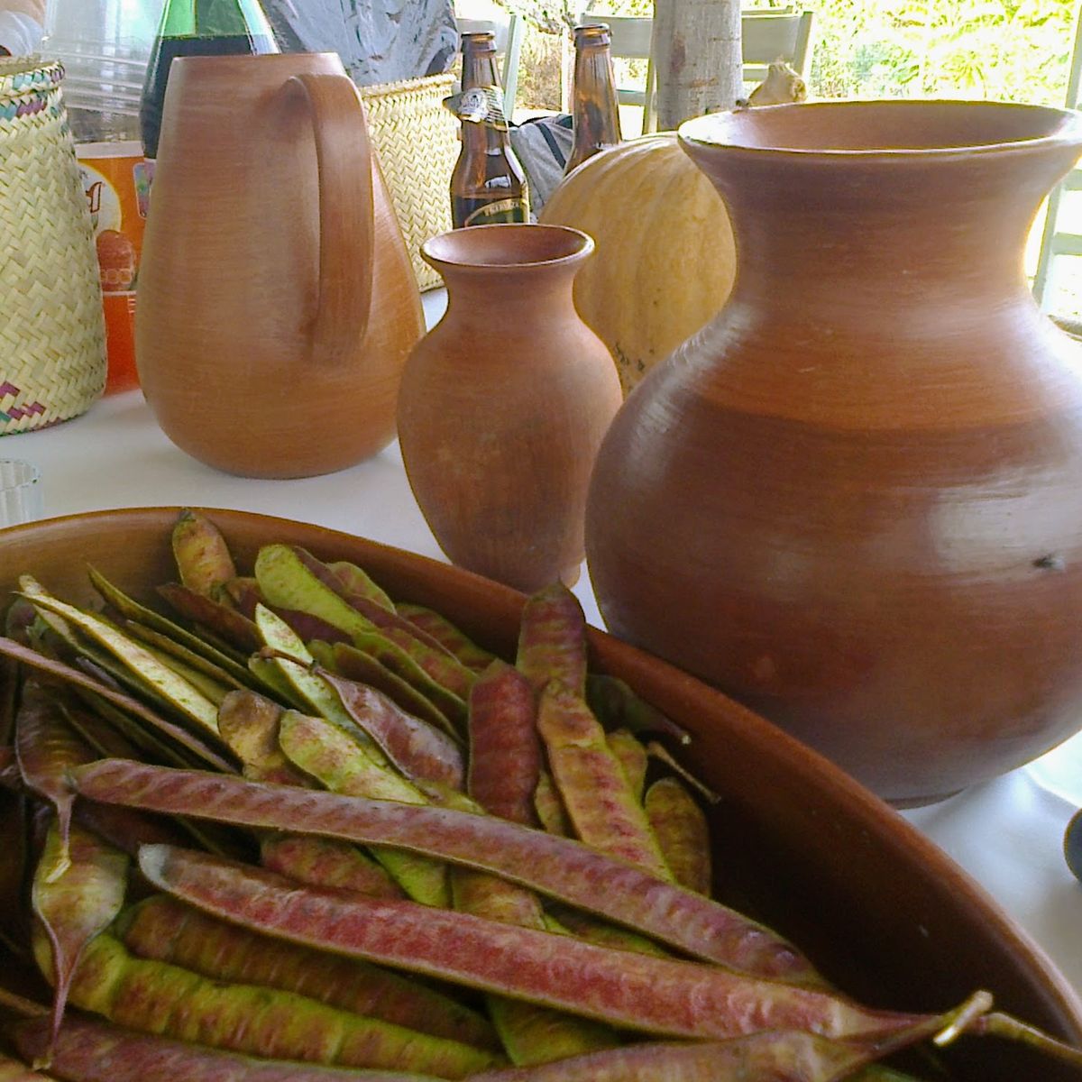 A Day of Oaxacan Plant Food Traditions with a Renowned Chef