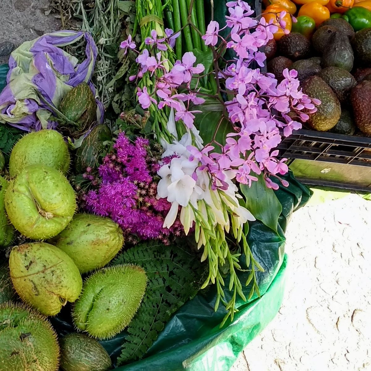 A Day of Oaxacan Plant Food Traditions with a Renowned Chef