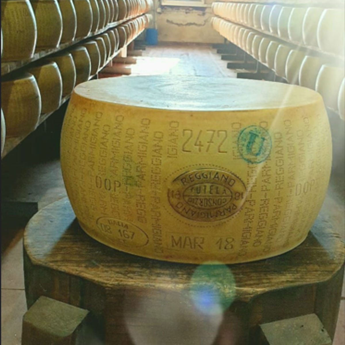 A Guided Tour to Experience the Best Parmigiano Reggiano Tasting