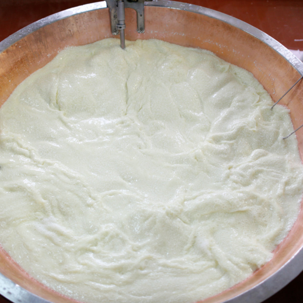 A Guided Tour to Experience the Best Parmigiano Reggiano Tasting