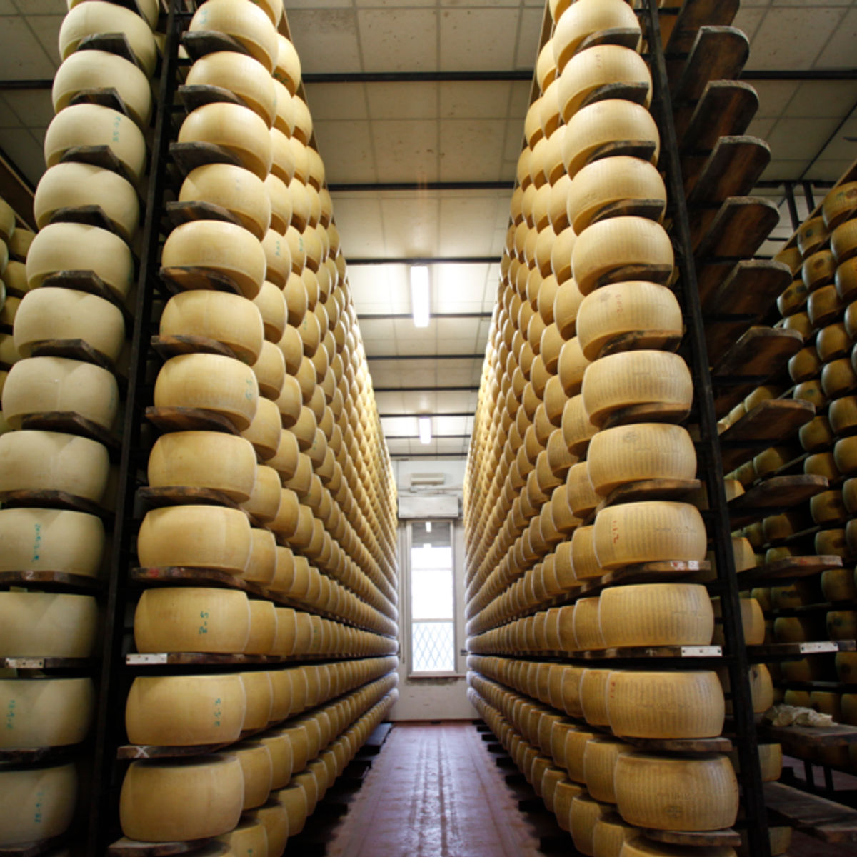 A Guided Tour to Experience the Best Parmigiano Reggiano Tasting