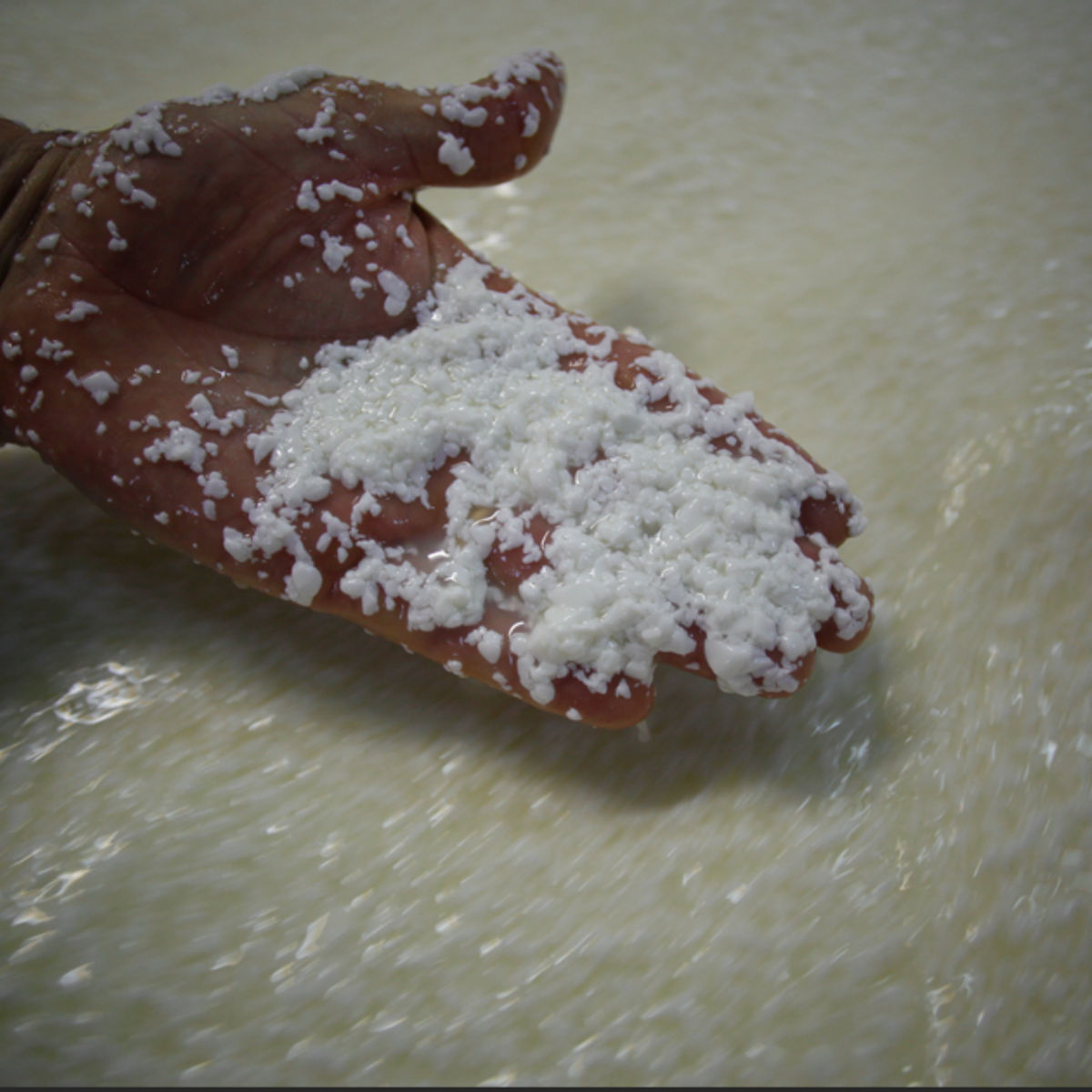 A Guided Tour to Experience the Best Parmigiano Reggiano Tasting