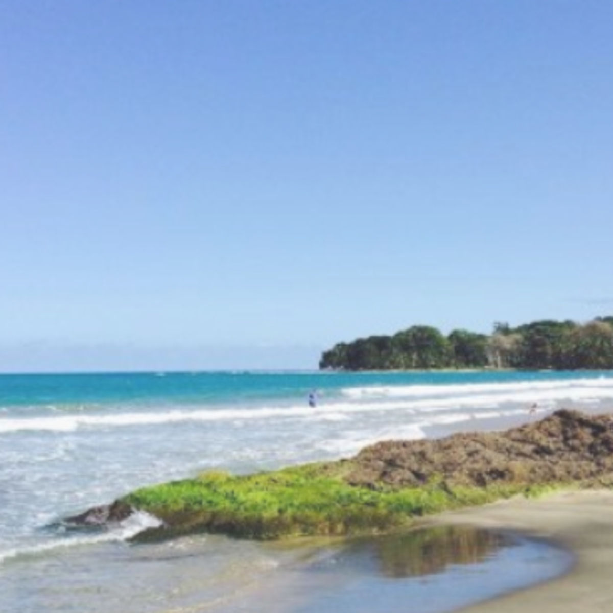 A Journey Through Coastal Delights in Puerto Viejo