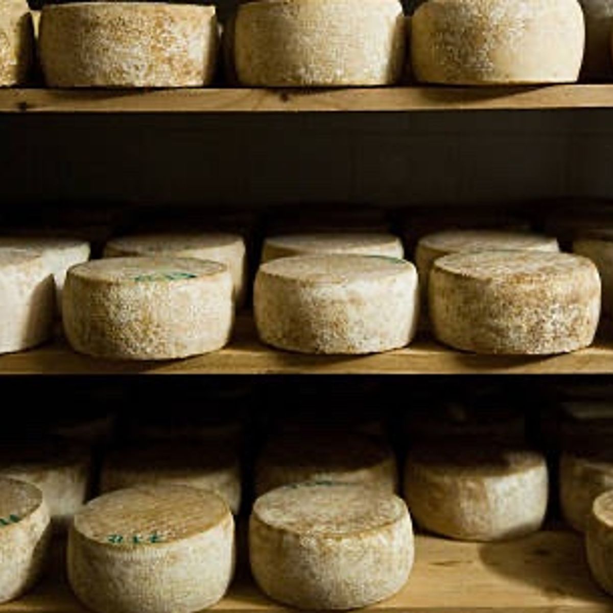 Biodynamic Wines & Organic Feast: Uncork Nature's Bounty at Stunning Vineyard