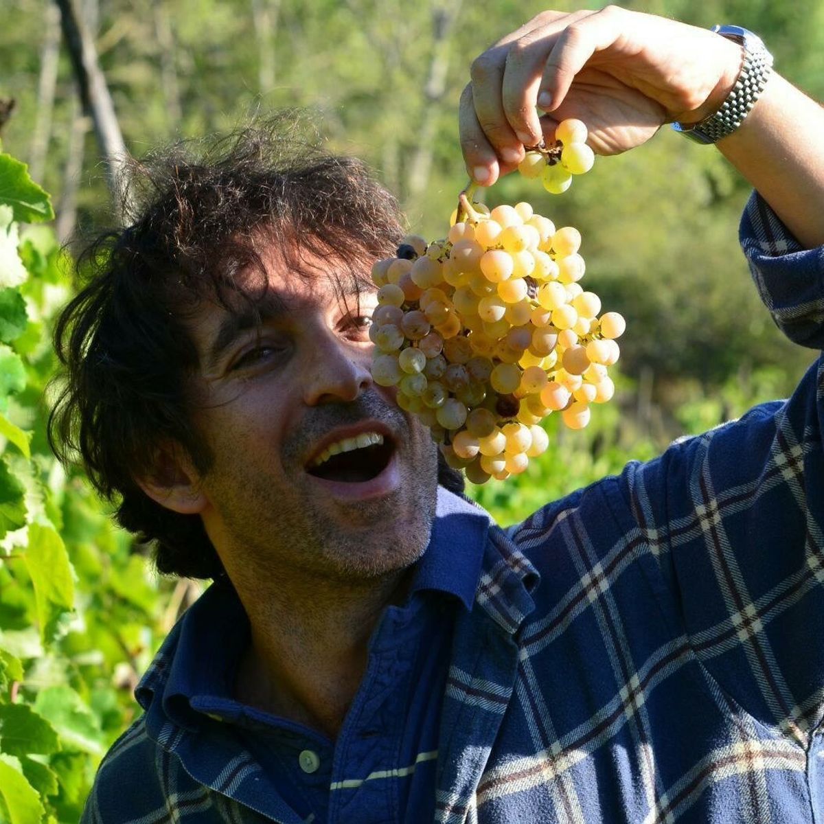 Biodynamic Wines & Organic Feast: Uncork Nature's Bounty at Stunning Vineyard