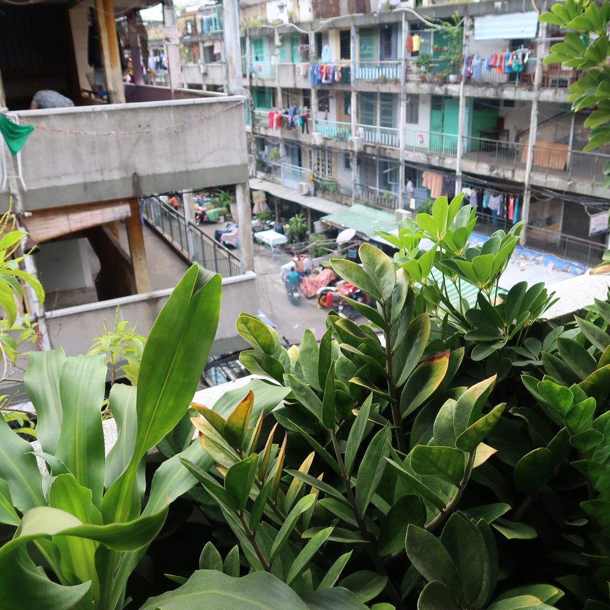 Vegan Food Walking Tour and the Hidden Gems in Ho Chi Minh City