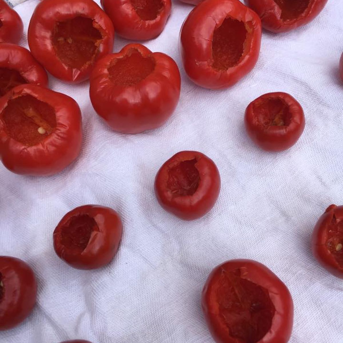 A Week of Authentic Culinary Classes in a Historic Tuscan Village