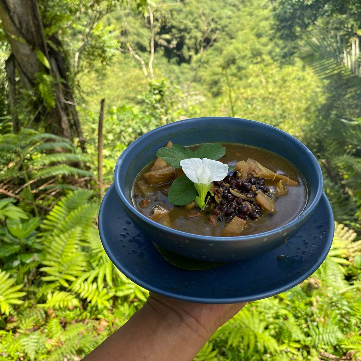 Advanced Balinese Cooking Class on Organic Farm - Afternoon and Evening Class